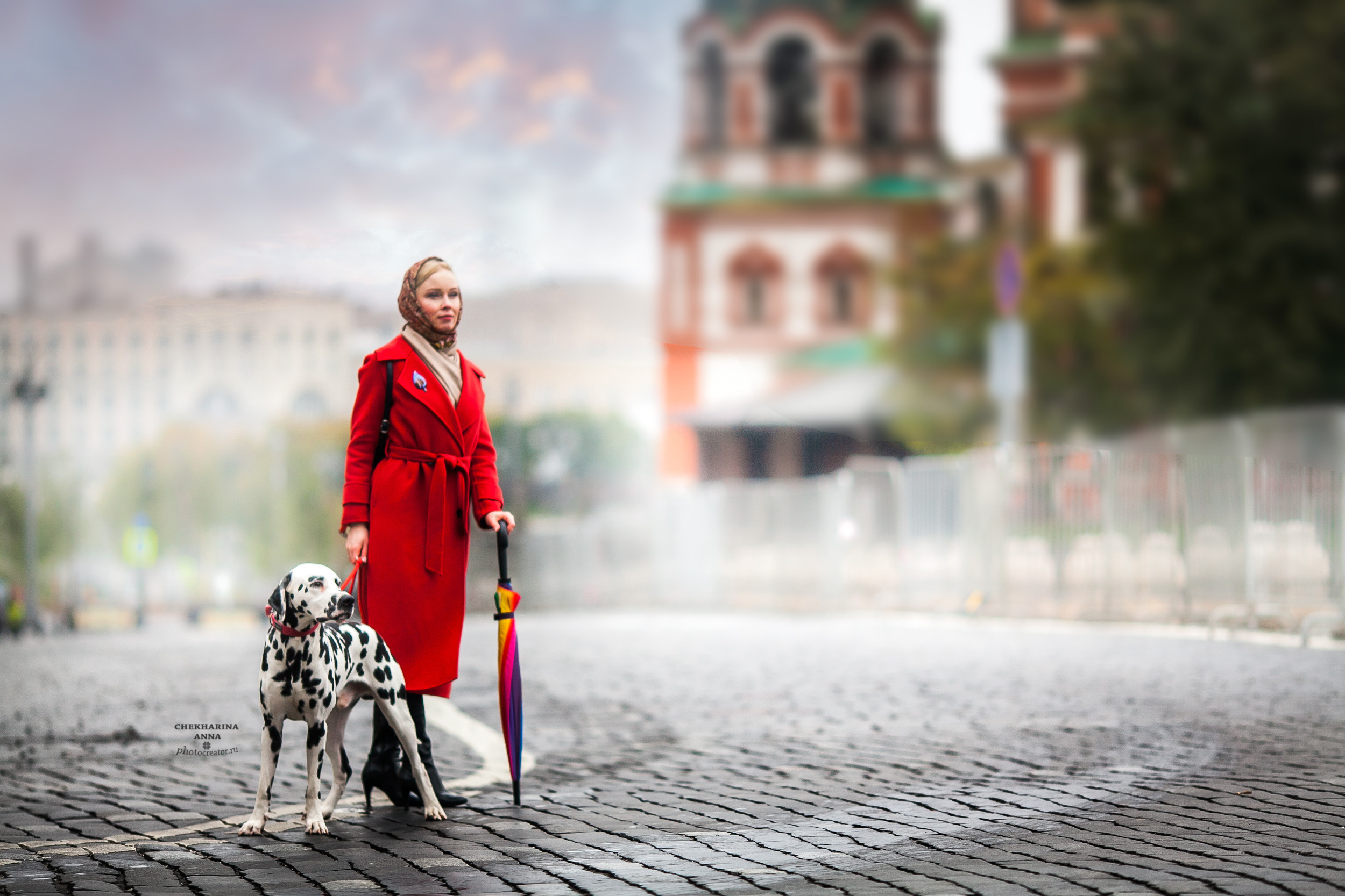 Индивидуальные фотосессии. Профессиональный фотограф Чехарина Анна / pro photographer Chekharina