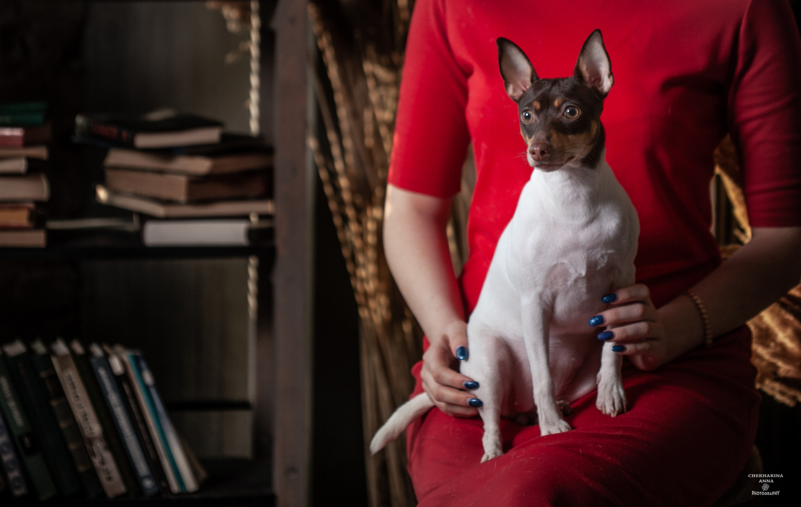 Анималистика. Профессиональный фотограф Чехарина Анна / pro photographer Chekharina