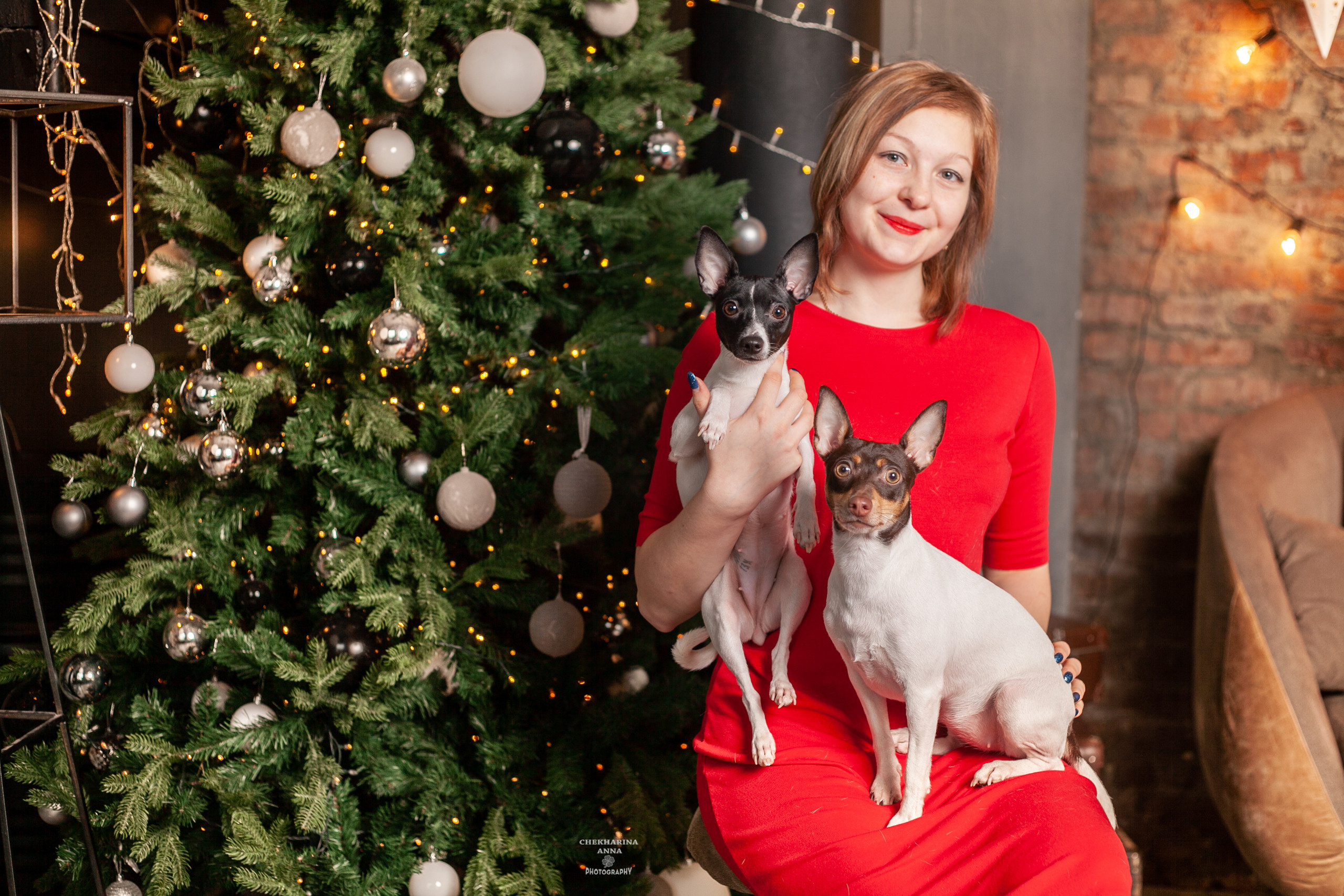 Анималистика. Профессиональный фотограф Чехарина Анна / pro photographer Chekharina