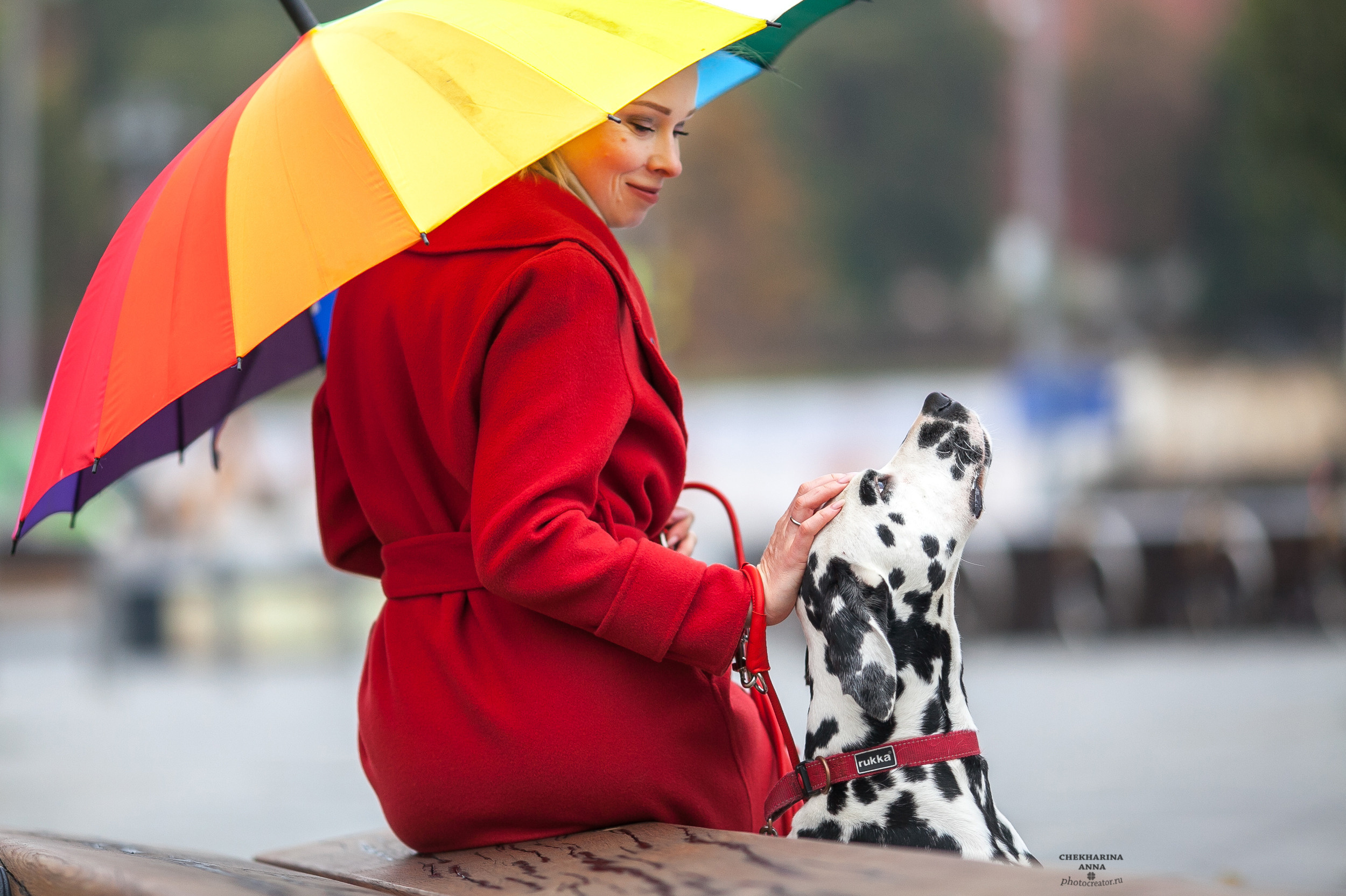 Индивидуальные фотосессии. Профессиональный фотограф Чехарина Анна / pro photographer Chekharina