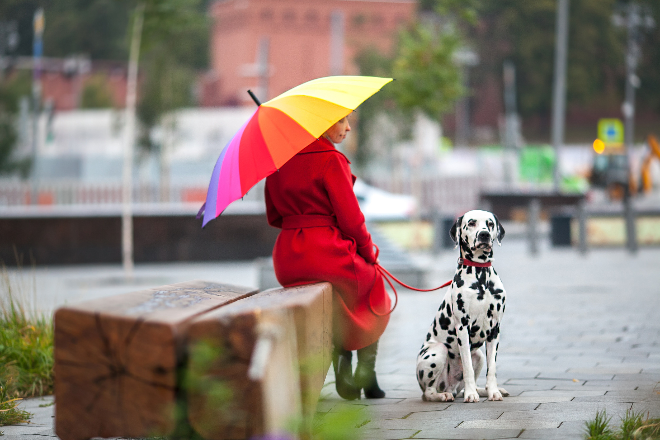 Индивидуальные фотосессии. Профессиональный фотограф Чехарина Анна / pro photographer Chekharina