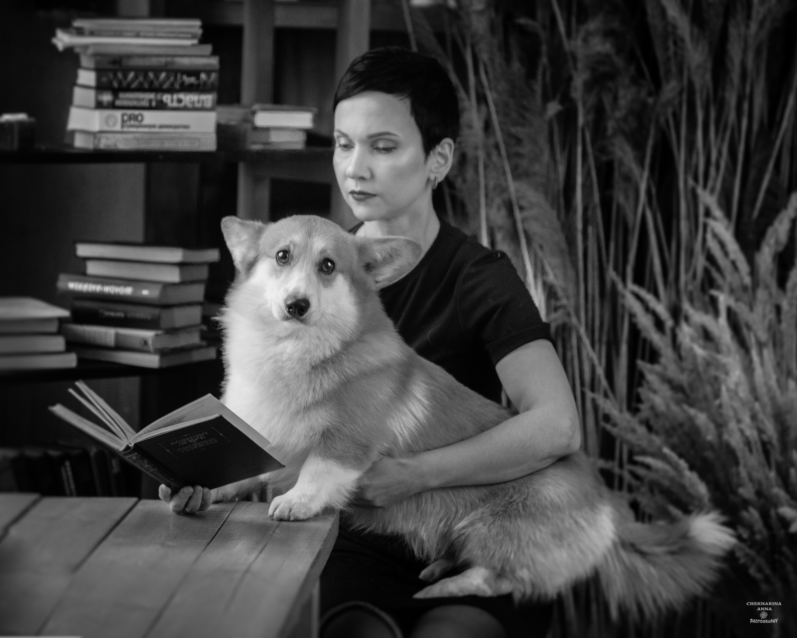 Анималистика. Профессиональный фотограф Чехарина Анна / pro photographer Chekharina
