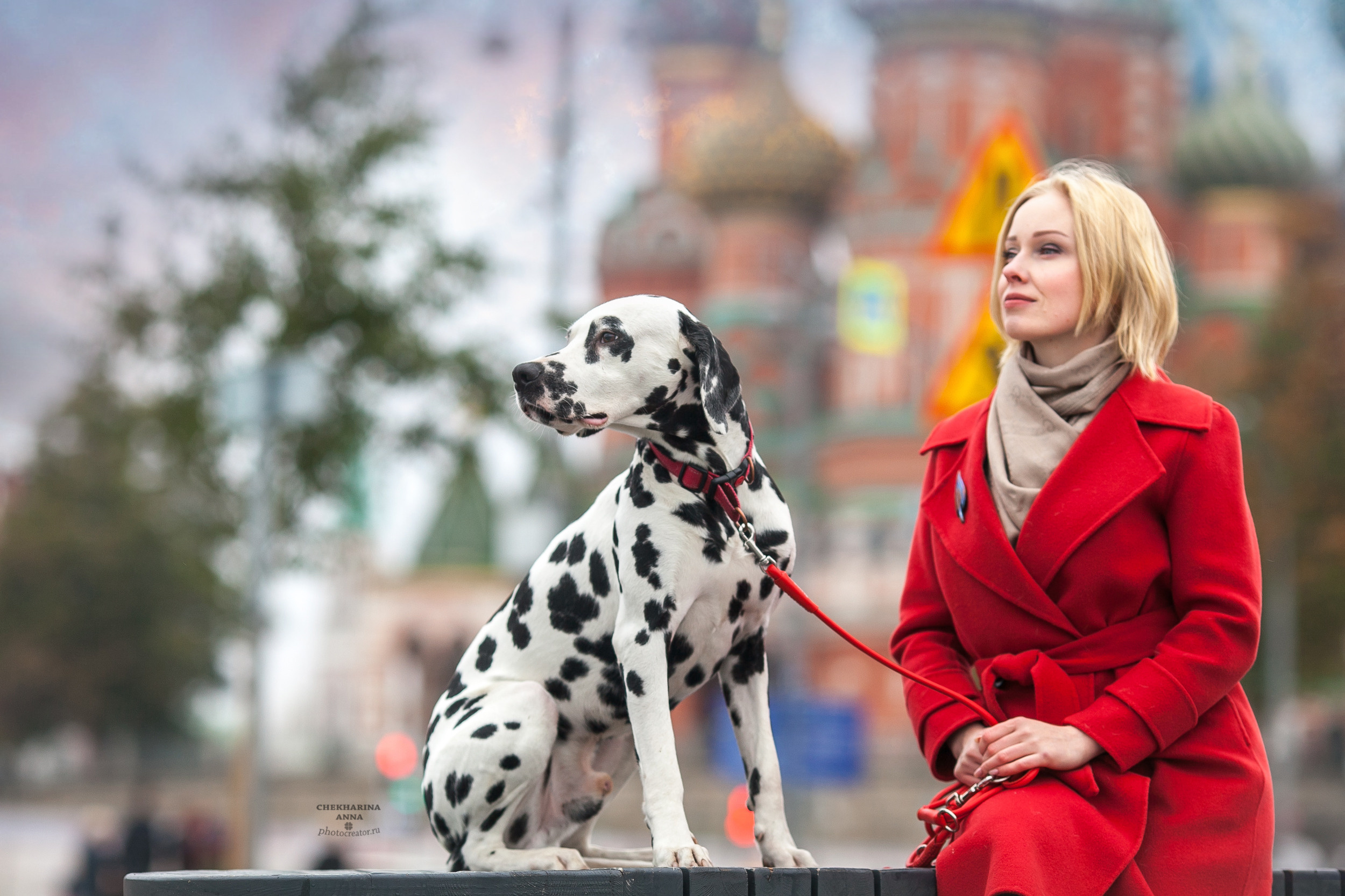 Индивидуальные фотосессии. Профессиональный фотограф Чехарина Анна / pro photographer Chekharina