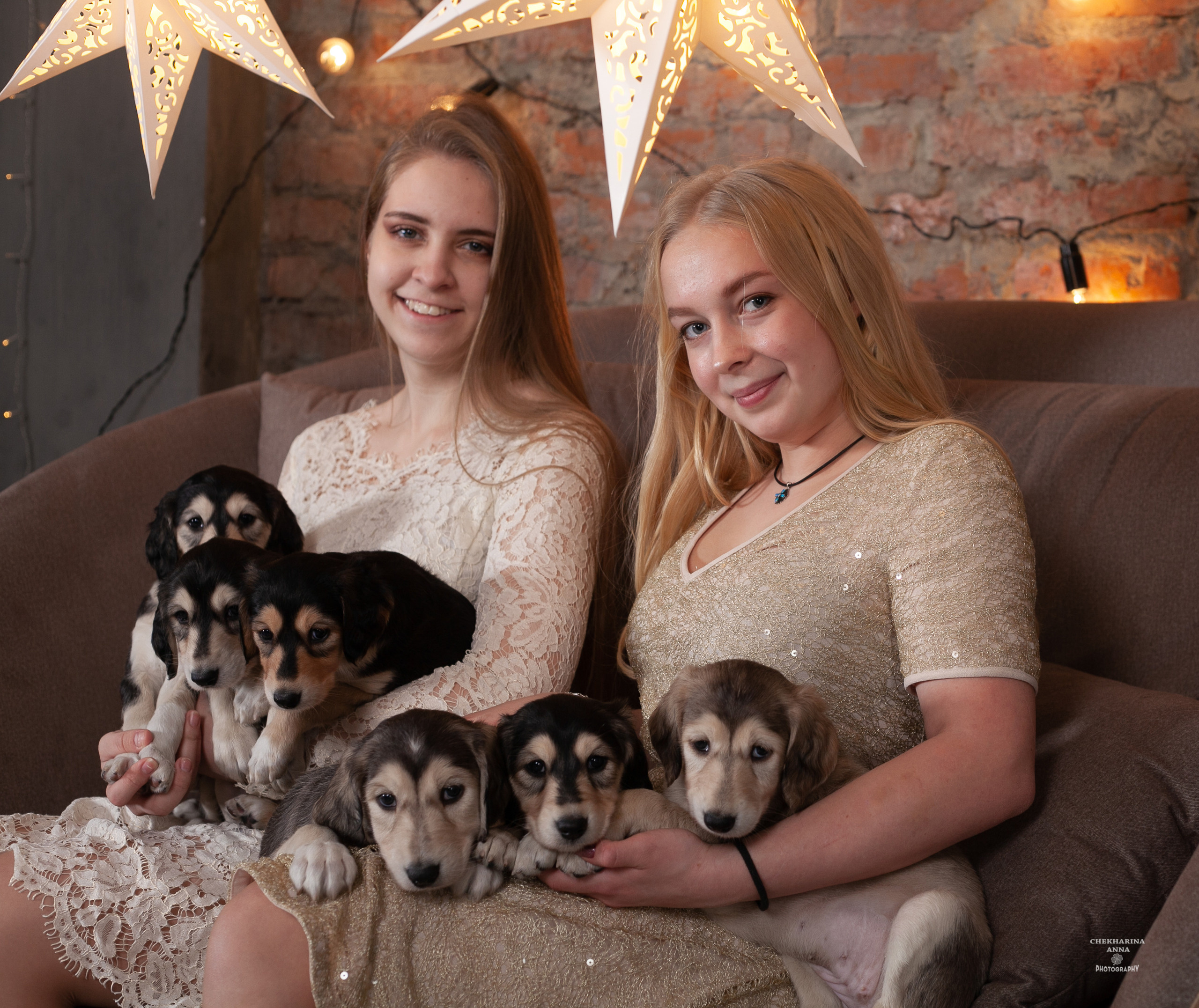 Анималистика. Профессиональный фотограф Чехарина Анна / pro photographer Chekharina