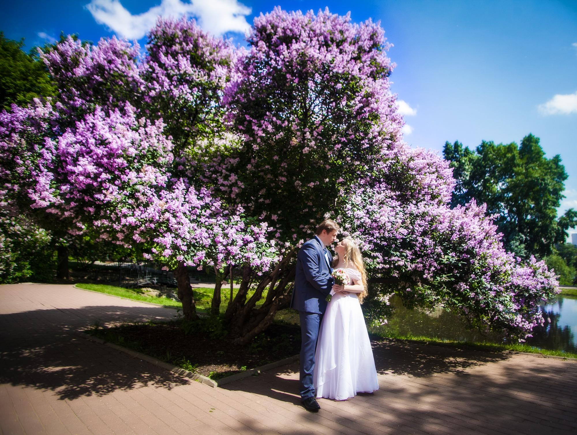 Свадебные фотосессии. Профессиональный фотограф Чехарина Анна / pro photographer Chekharina