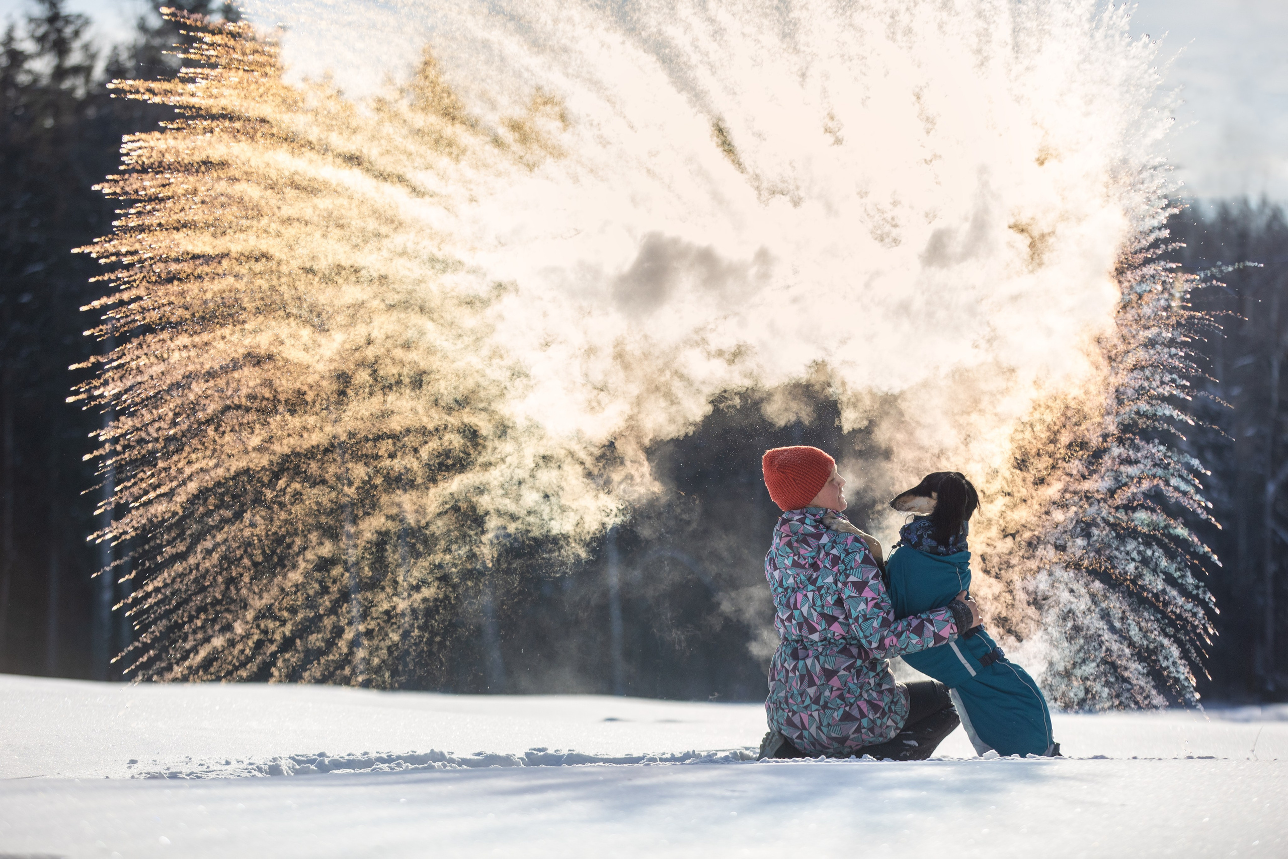 Съёмки собак на природе. Фотограф-анималист Natalia Deingel | Фотосъемка собак в Москве