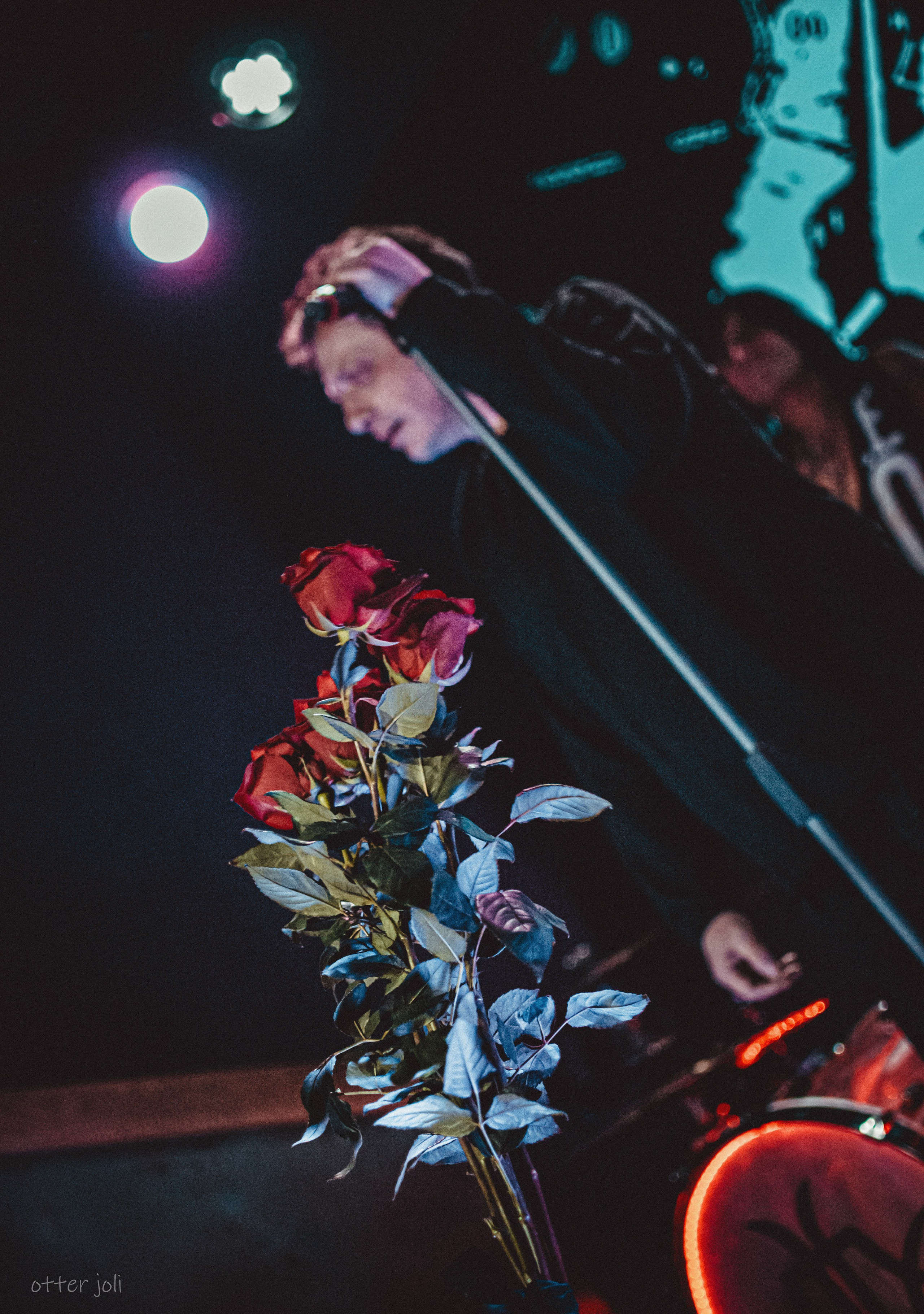 Глеб Самойлов. Концертный репортёр Валерия Сафина