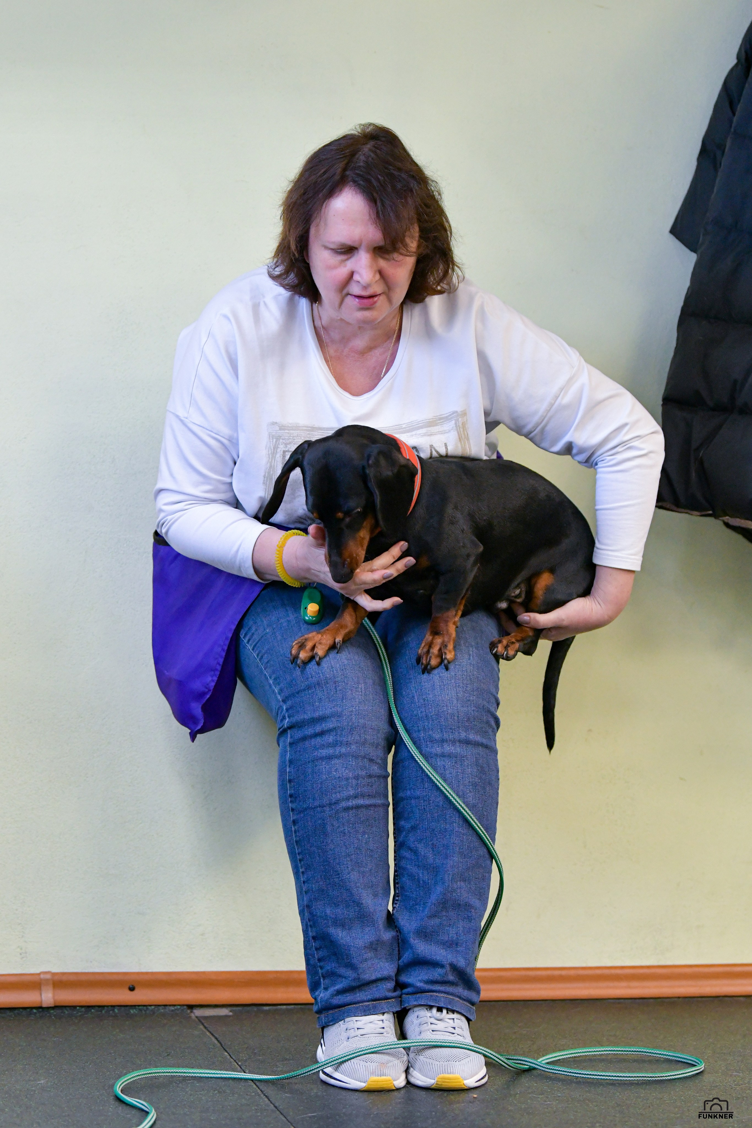 Кинологический клуб «Бодрый хвост». Свой взгляд через объектив