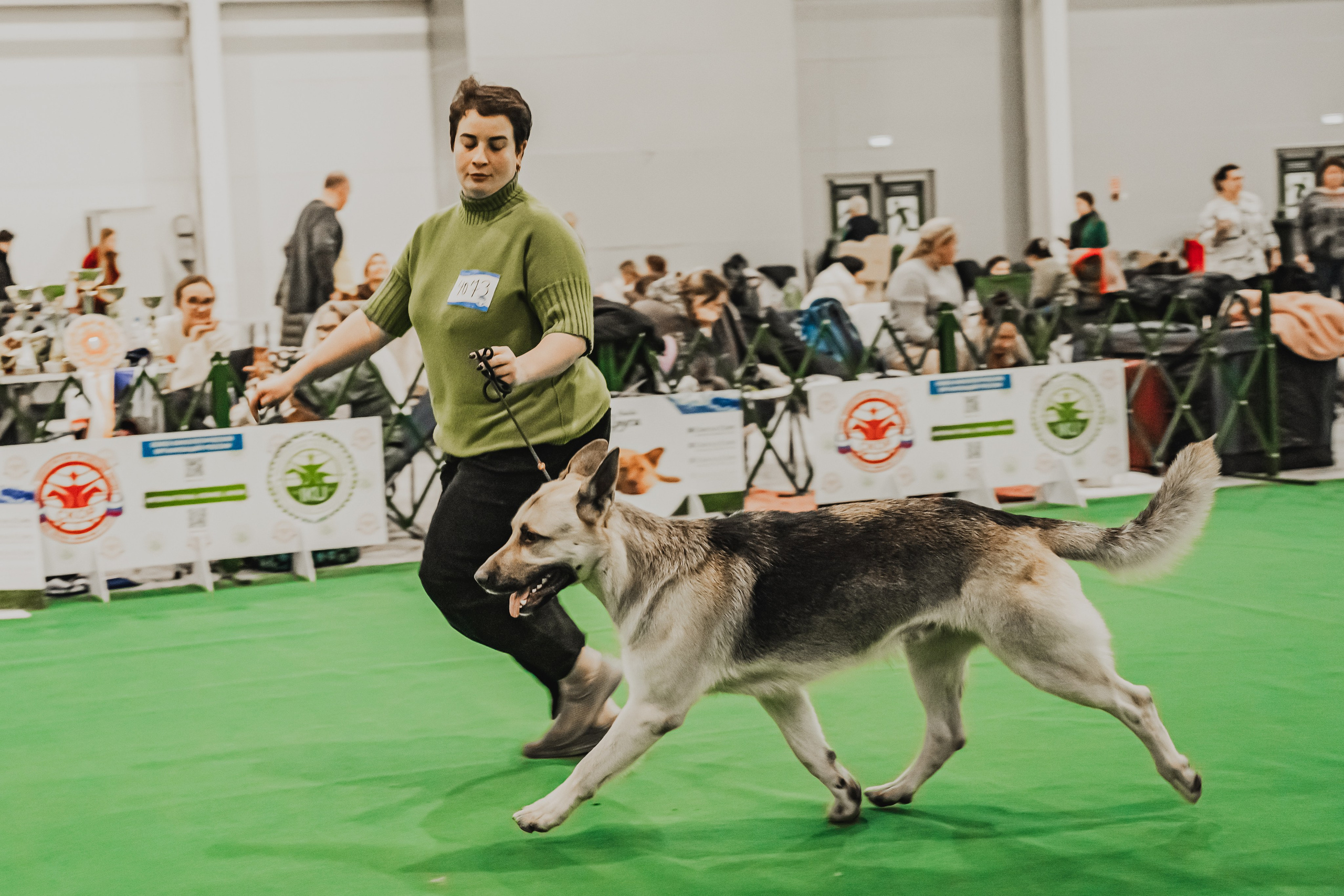 Международная выставка собак всех пород. Репортажный фотограф Анастасия Рубцова