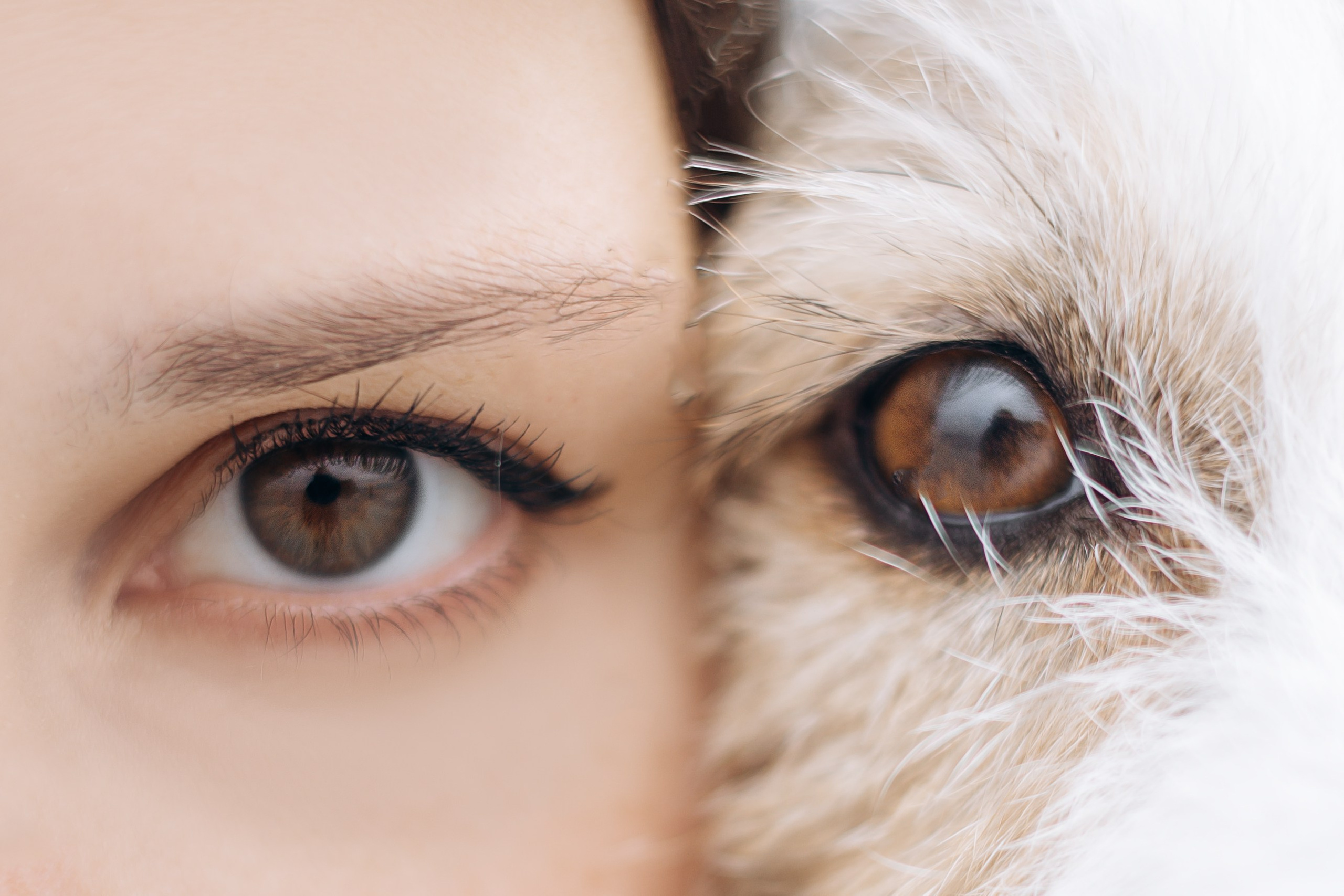 Оля и Тэффи. Фотограф животных Евгения Верцинская