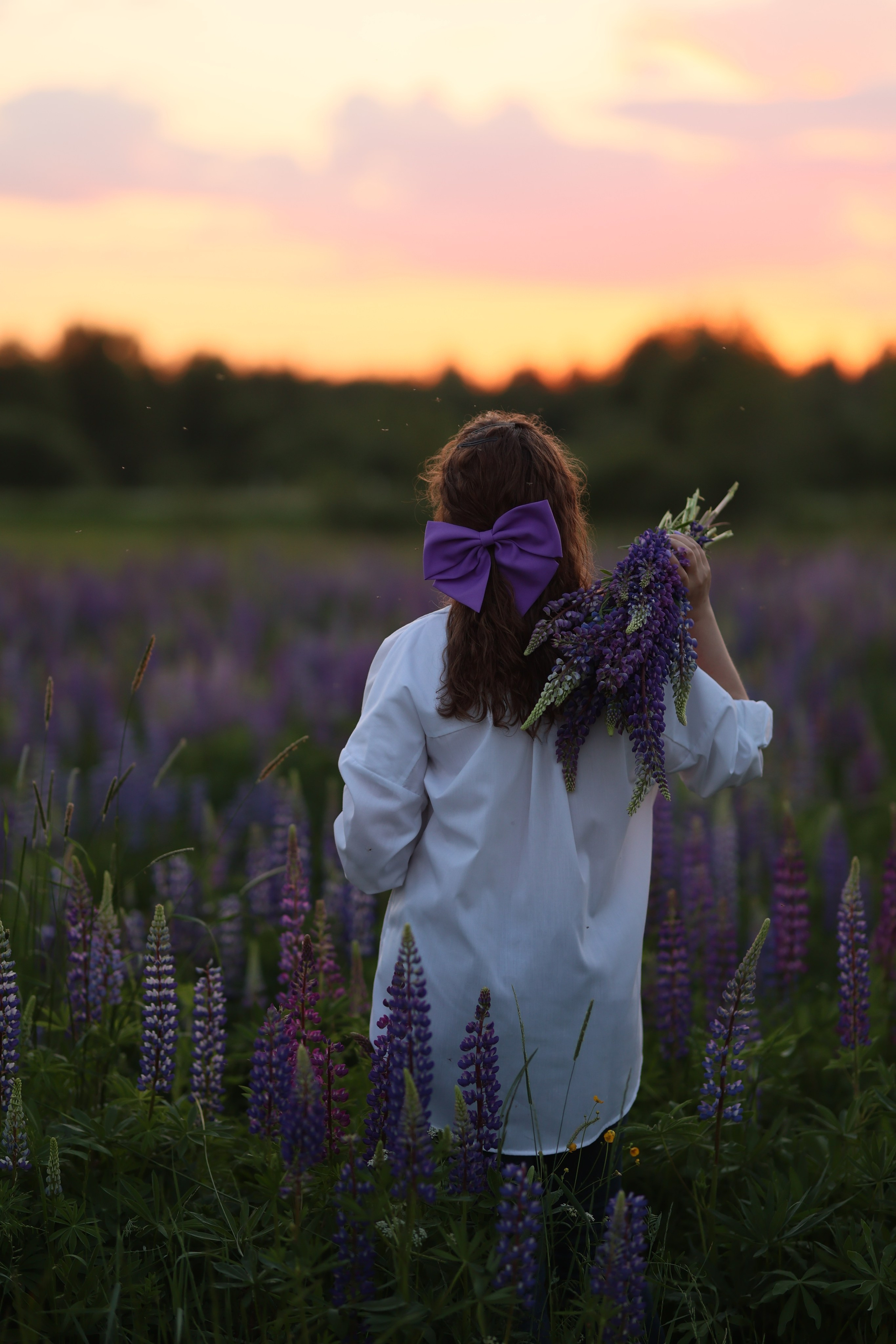 Фотосессия с люпинами. Семейный и свадебный фотограф в Санкт-Петербурге Татьяна Швыкова