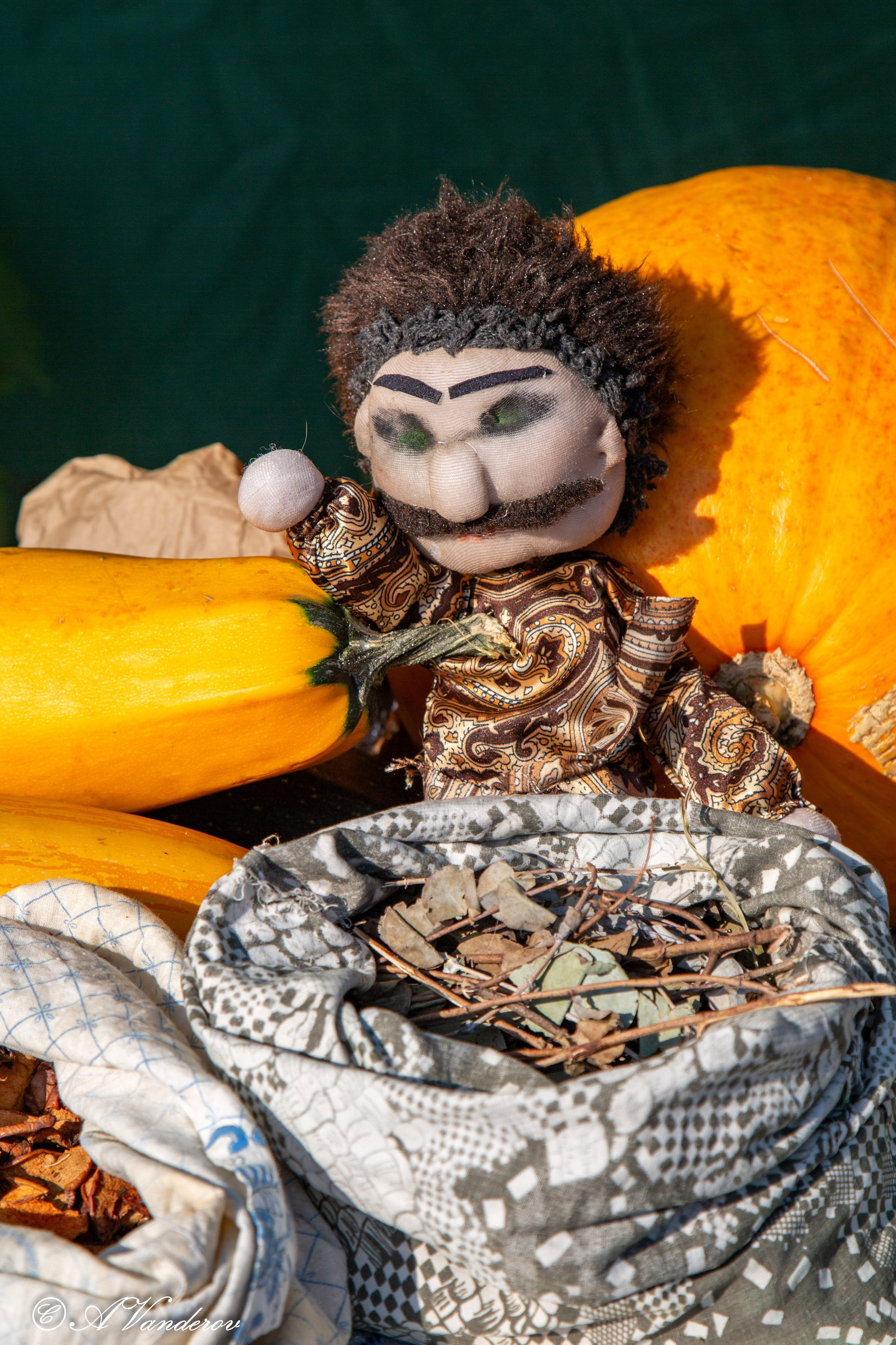 Осенины — 28.09.2024. Фотограф Омск | Александр Вандеров