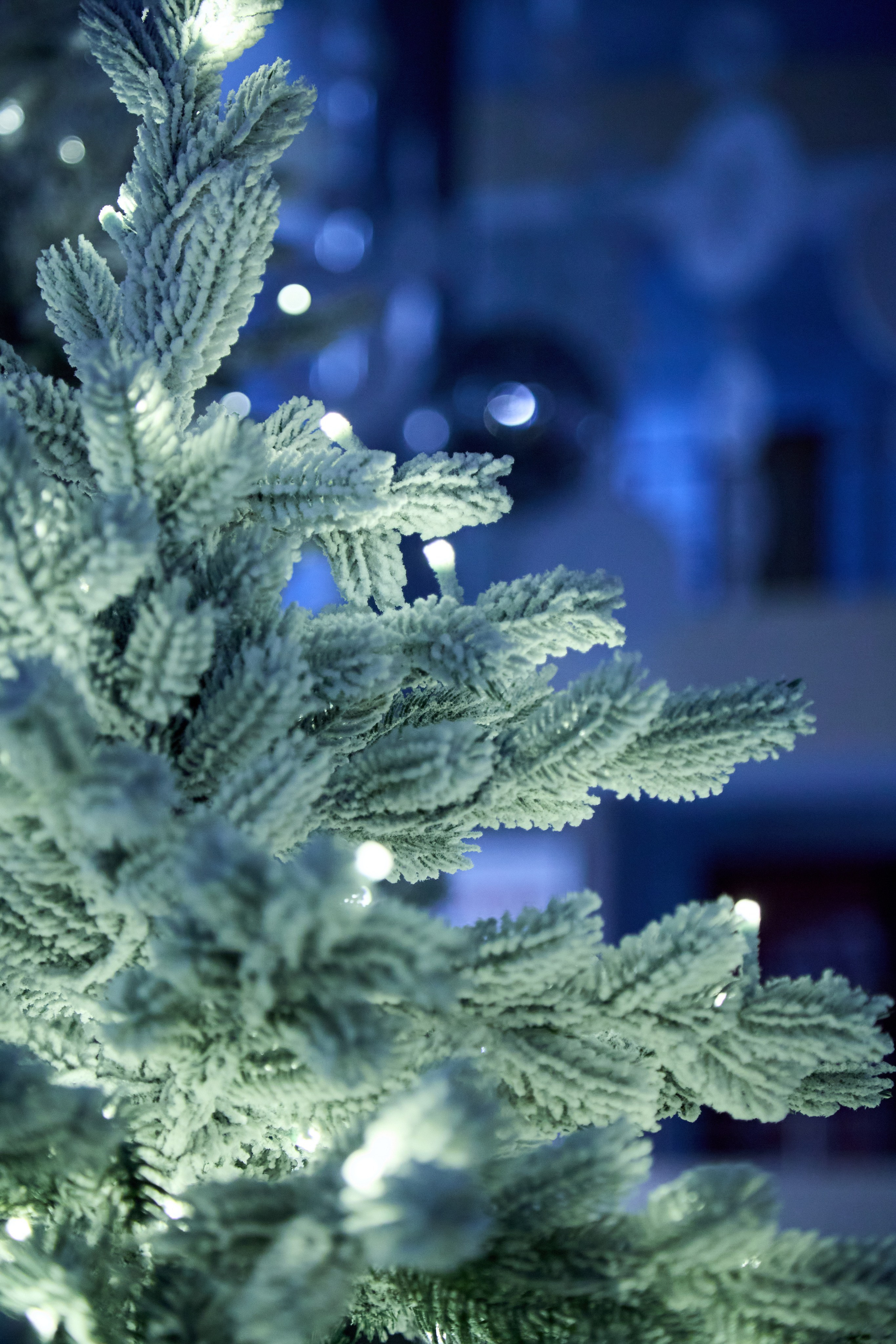 Новогодний Омск 2025. Фотограф Омск | Александр Вандеров