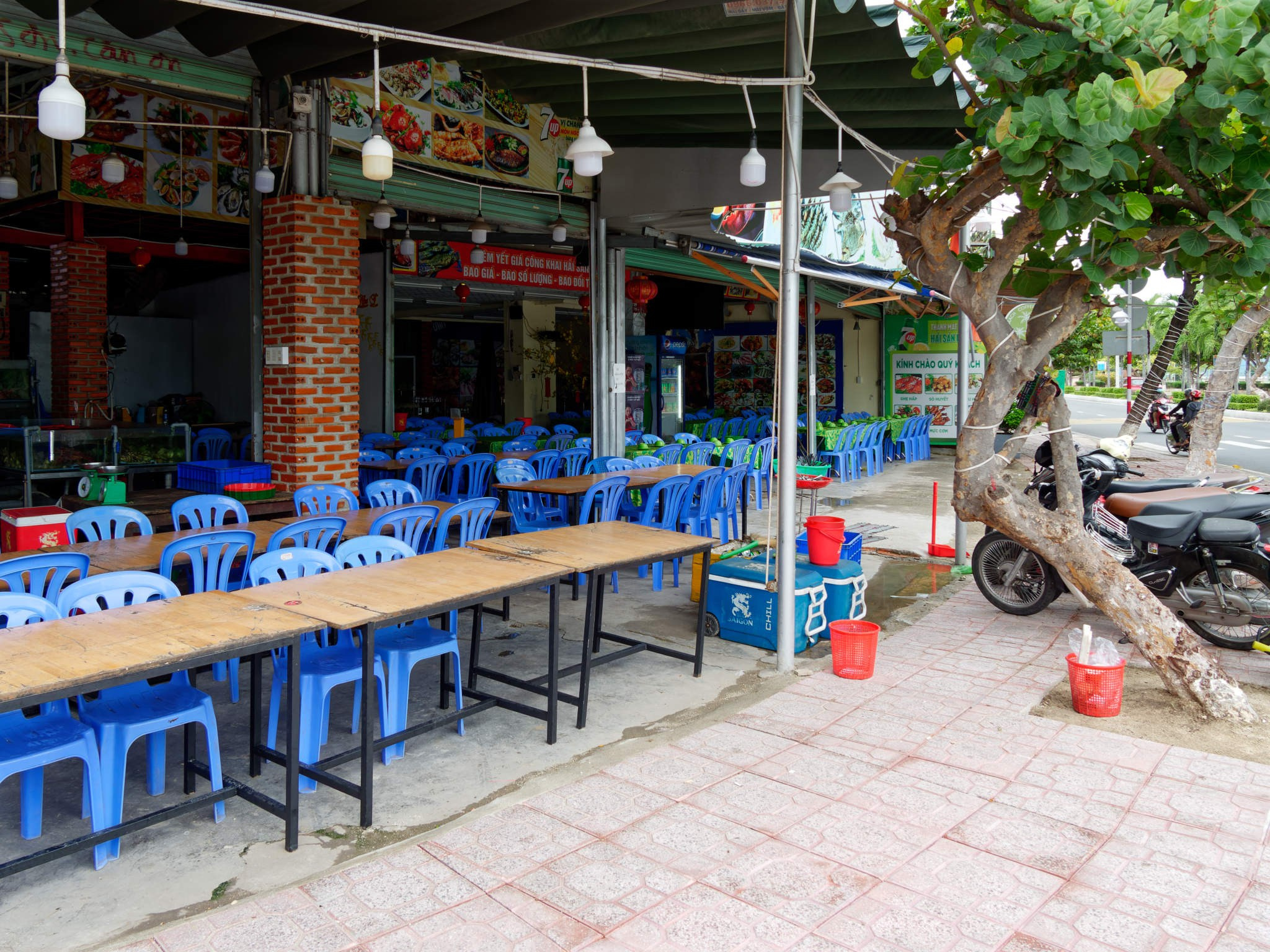 Нячанг 2023. Избранные фотографии