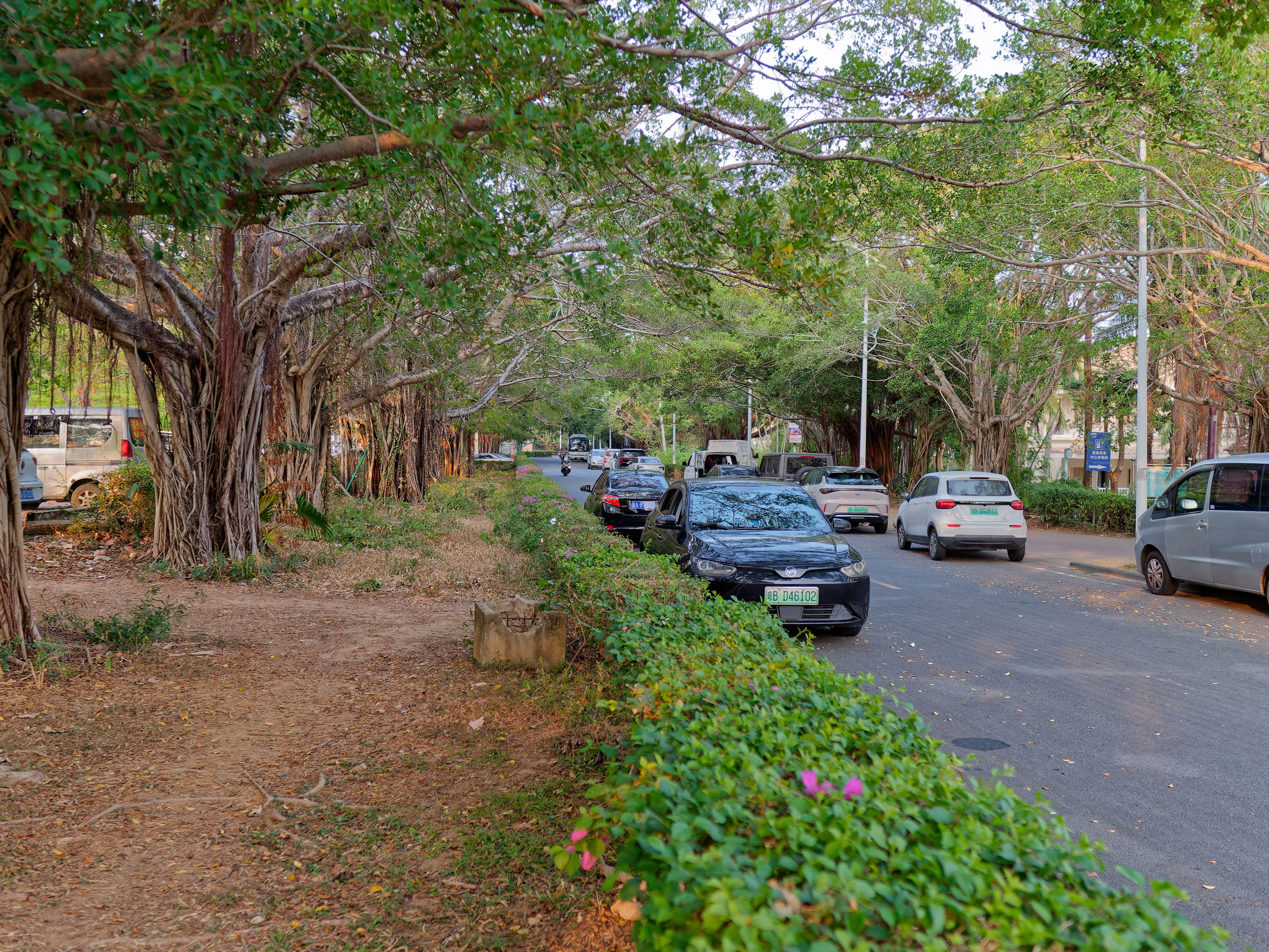 Хайнань 2026, «Food Street» ночная улица еды в Ялунване. Фотопрогулки по Миру