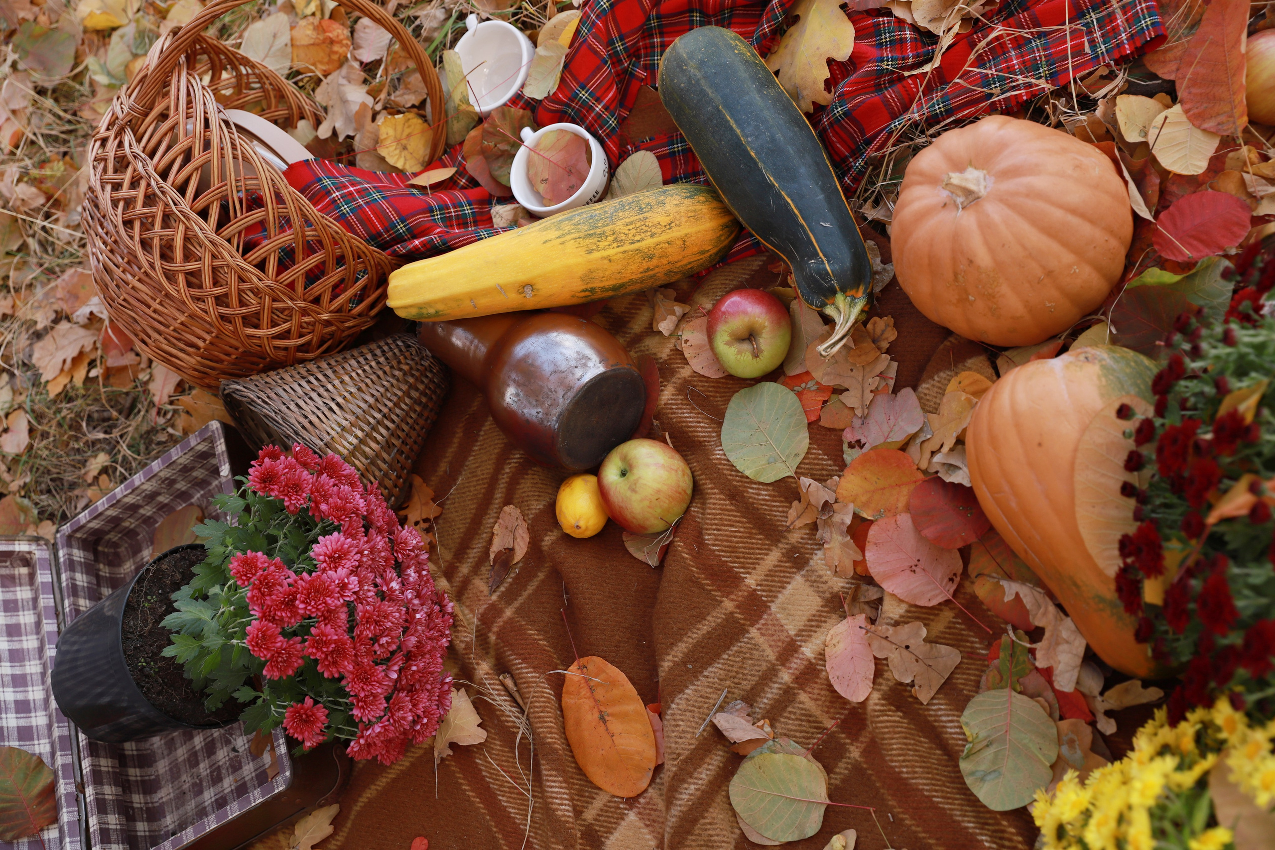 Самайн. Яна Чхан — Фотограф в Донецке и не только