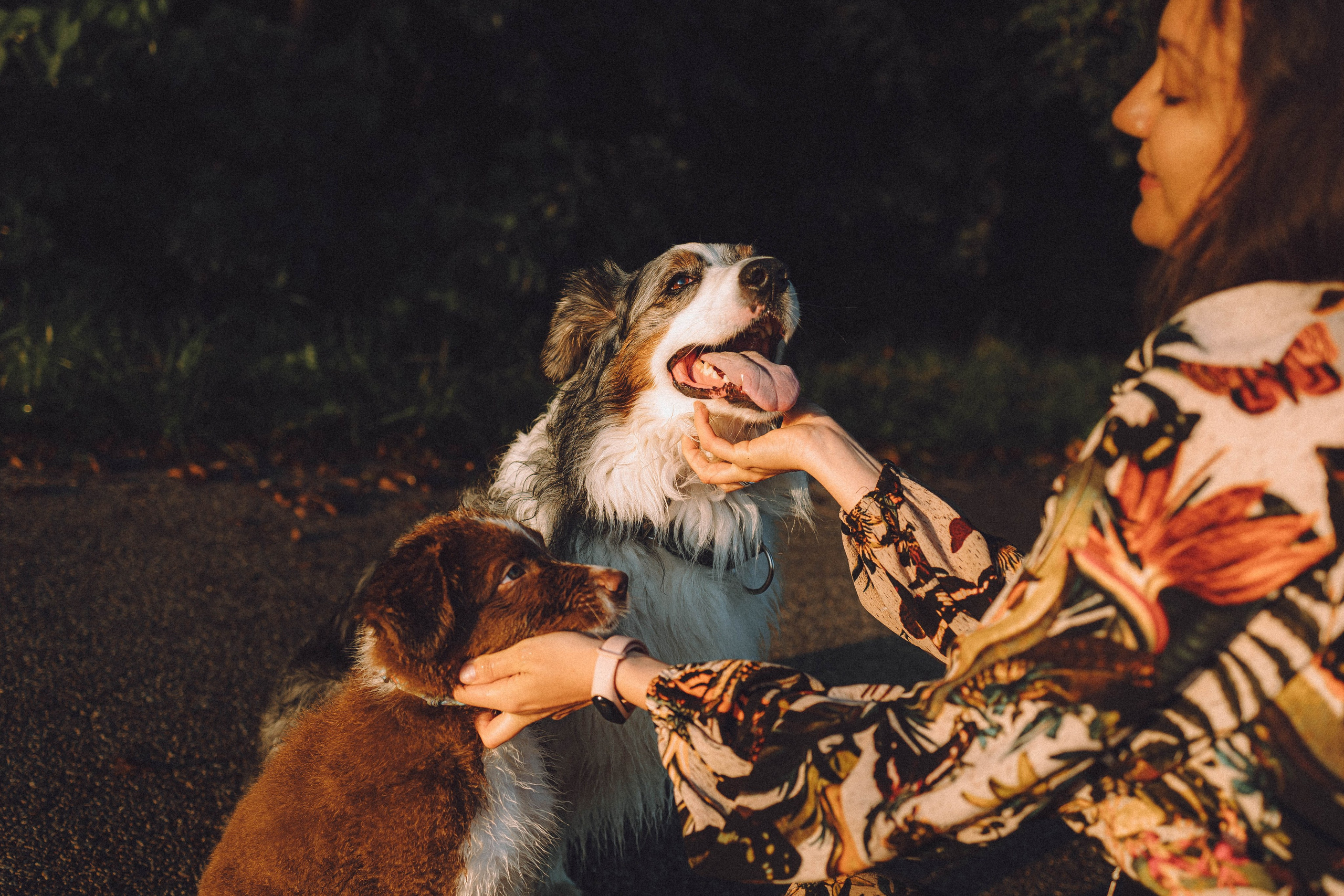 Лена, Принц и Фенек