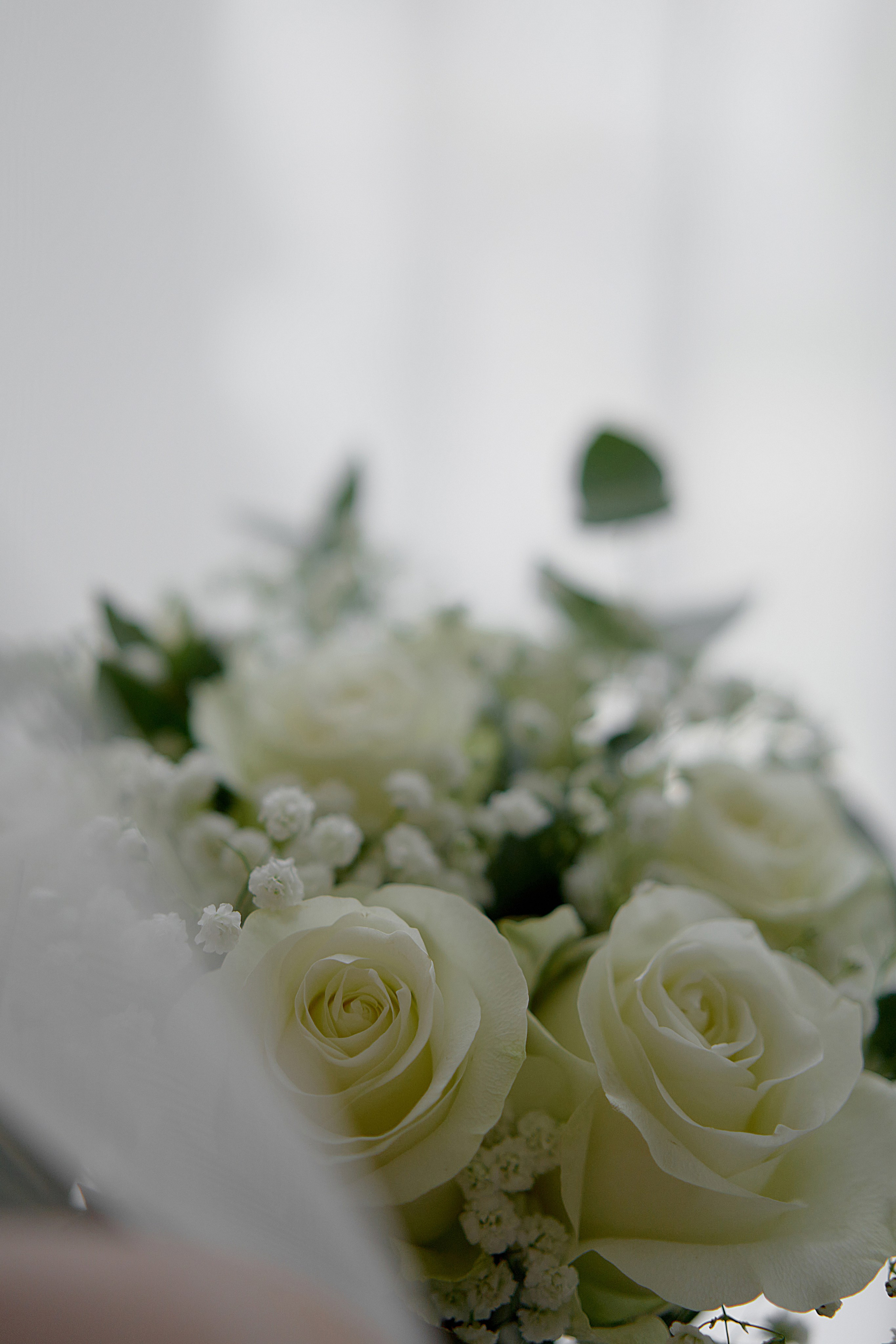 Руслан и Анна. Чумаков Алексей Фотограф|Видеограф свадебные, индивидуальные, семейные, репортаж