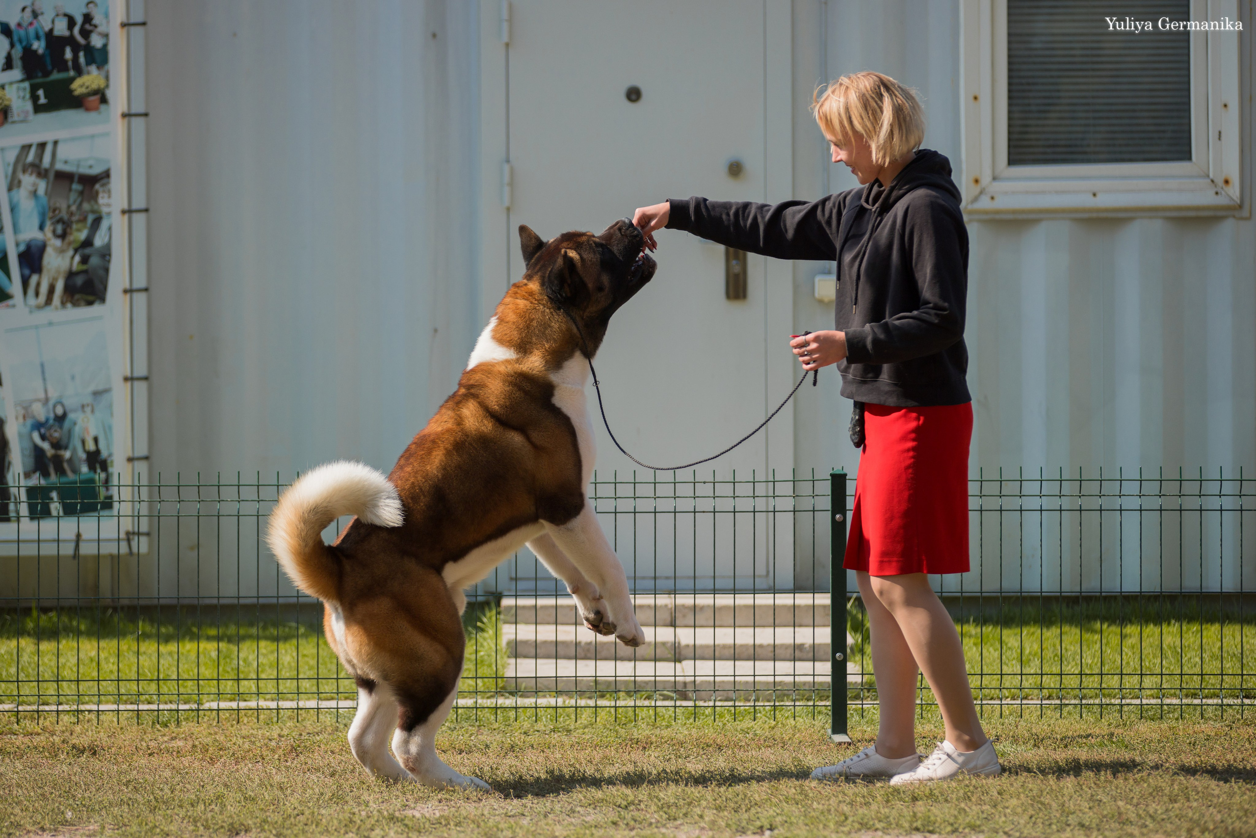 Бишкек 29.09-01.10.2023. Фотограф-анималист Юлия Германика