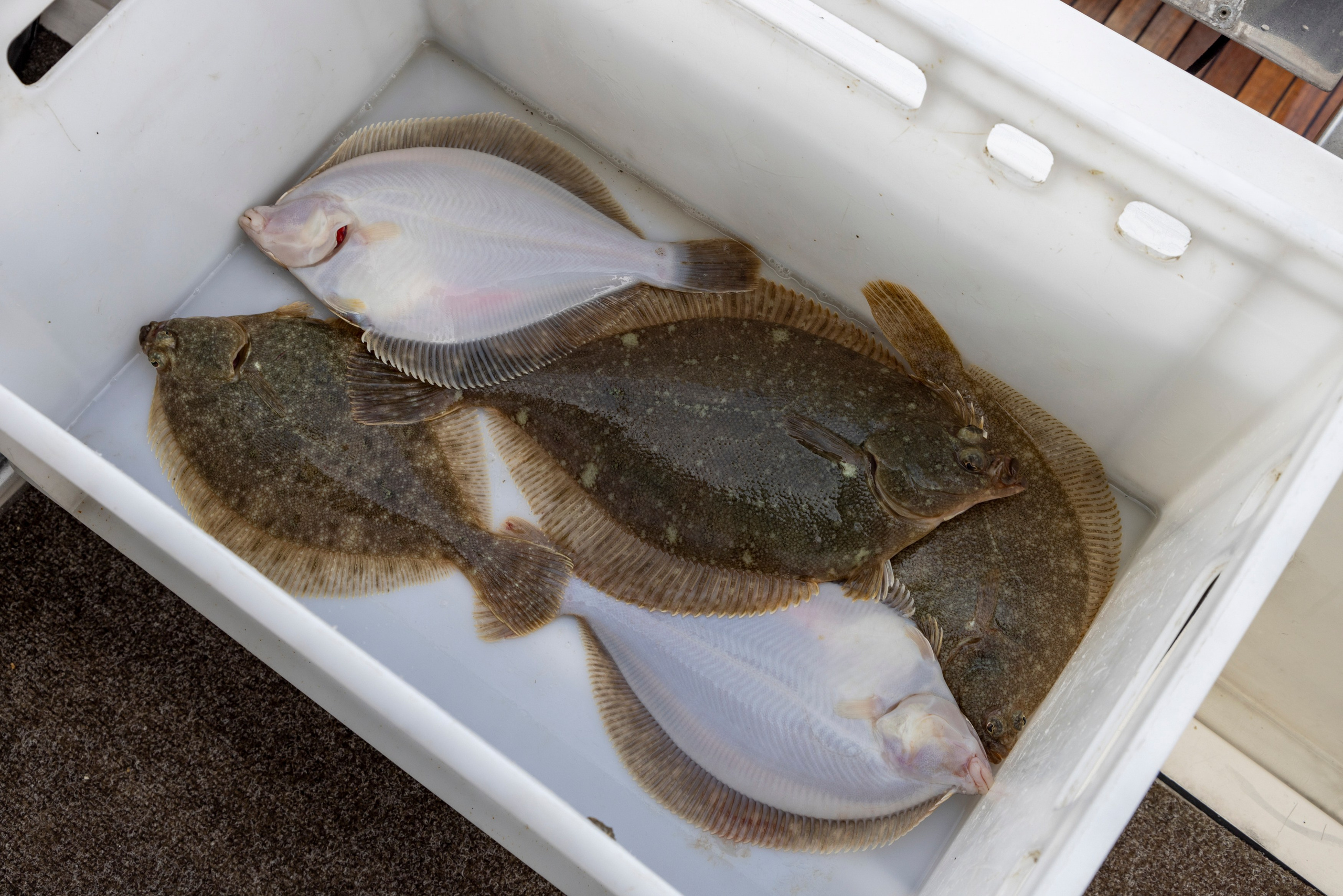 Научно-популярная Камчатка. Время Камчатки: чтобы найти свой путь, нужно скорость умножить на время