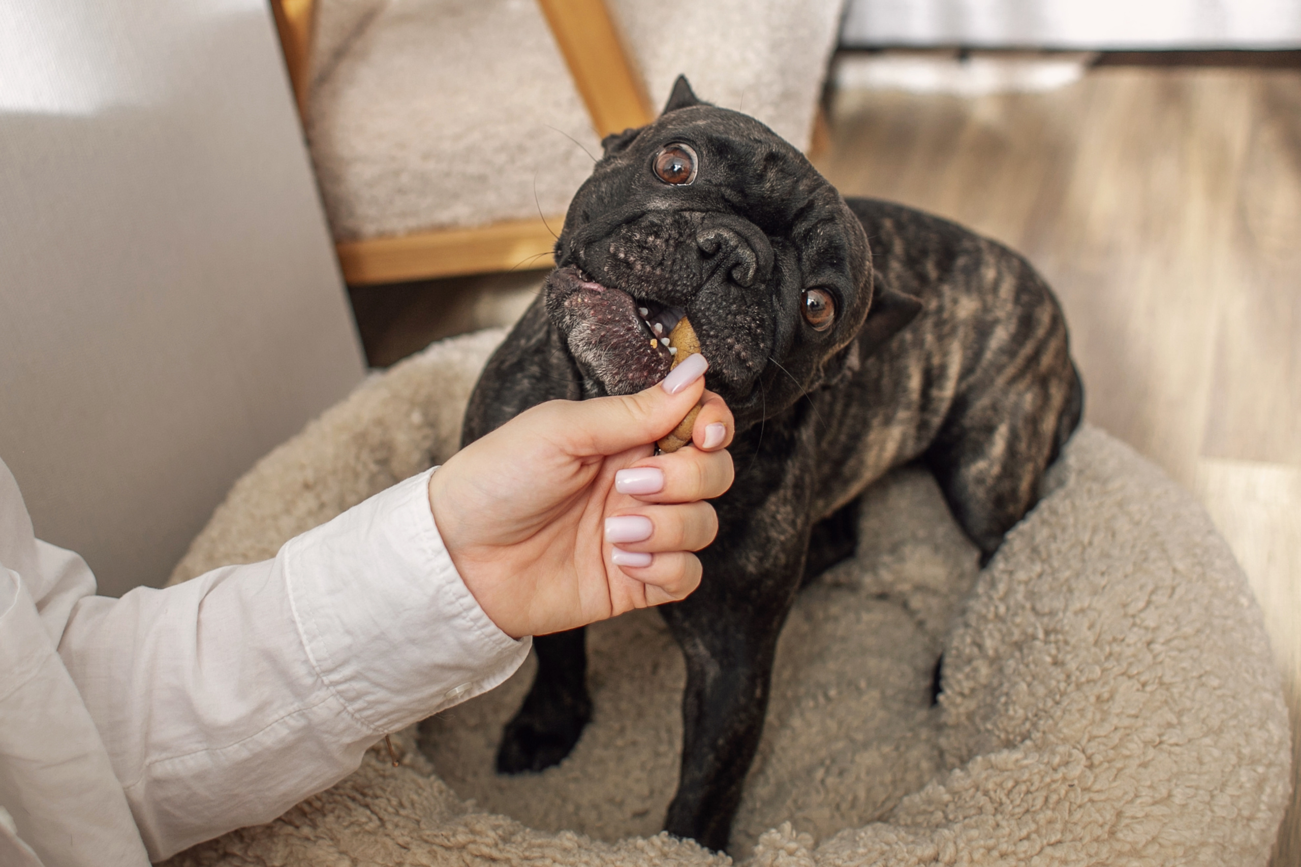 Мама рядом. Семейный и детский фотограф в Ростове-на-Дону Мария Курутина