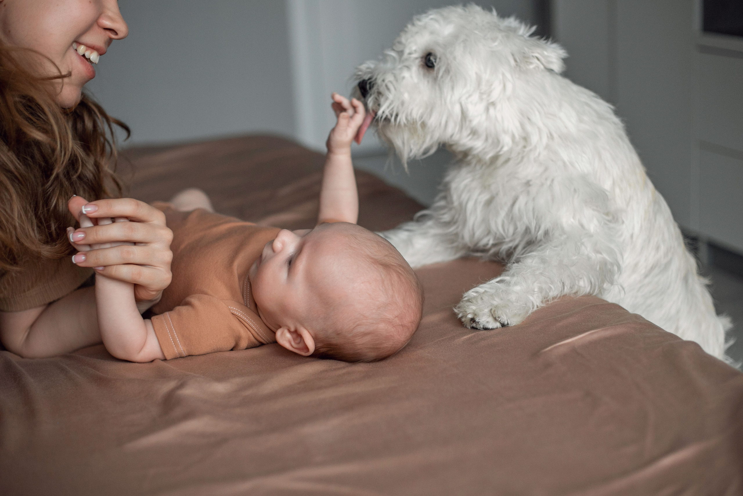 фотосессия дома, домашняя фотосессия, фотосессия с детьми, фотограф Ростов, семейный фотограф Ростов, семейный фотограф в Ростове, фотосессия Ростов, фотосессия в Ростове, фотосессия Ростов-на-Дону, фотограф Ростов-на-Дону, новогодняя фотосессия в Ростове, новогодняя фотосессия, новогодняя съемка, новогодняя фотосессия в студии, новогодняя фотосессия в студии в Ростове, новогодняя фотосессия в студии Ростов-на-Дону