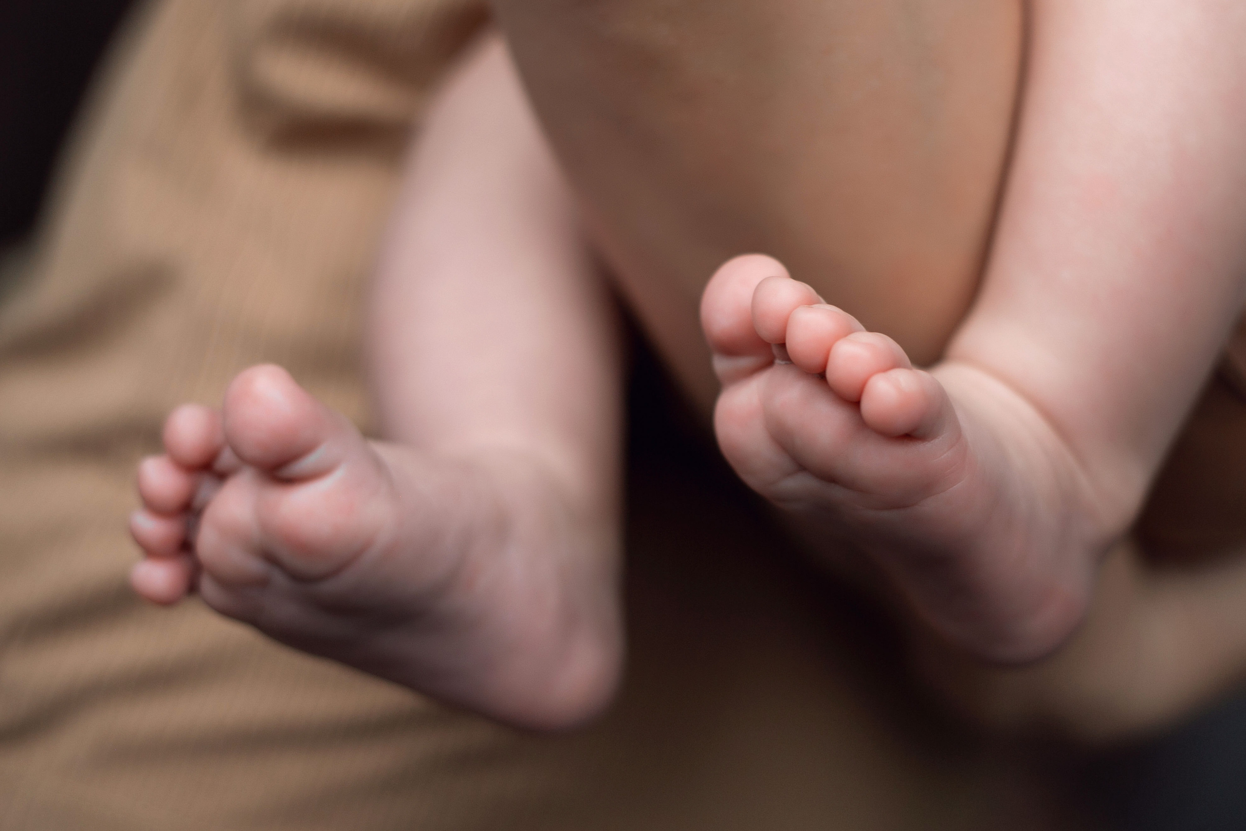 фотосессия дома, домашняя фотосессия, фотосессия с детьми, фотограф Ростов, семейный фотограф Ростов, семейный фотограф в Ростове, фотосессия Ростов, фотосессия в Ростове, фотосессия Ростов-на-Дону, фотограф Ростов-на-Дону, новогодняя фотосессия в Ростове, новогодняя фотосессия, новогодняя съемка, новогодняя фотосессия в студии, новогодняя фотосессия в студии в Ростове, новогодняя фотосессия в студии Ростов-на-Дону