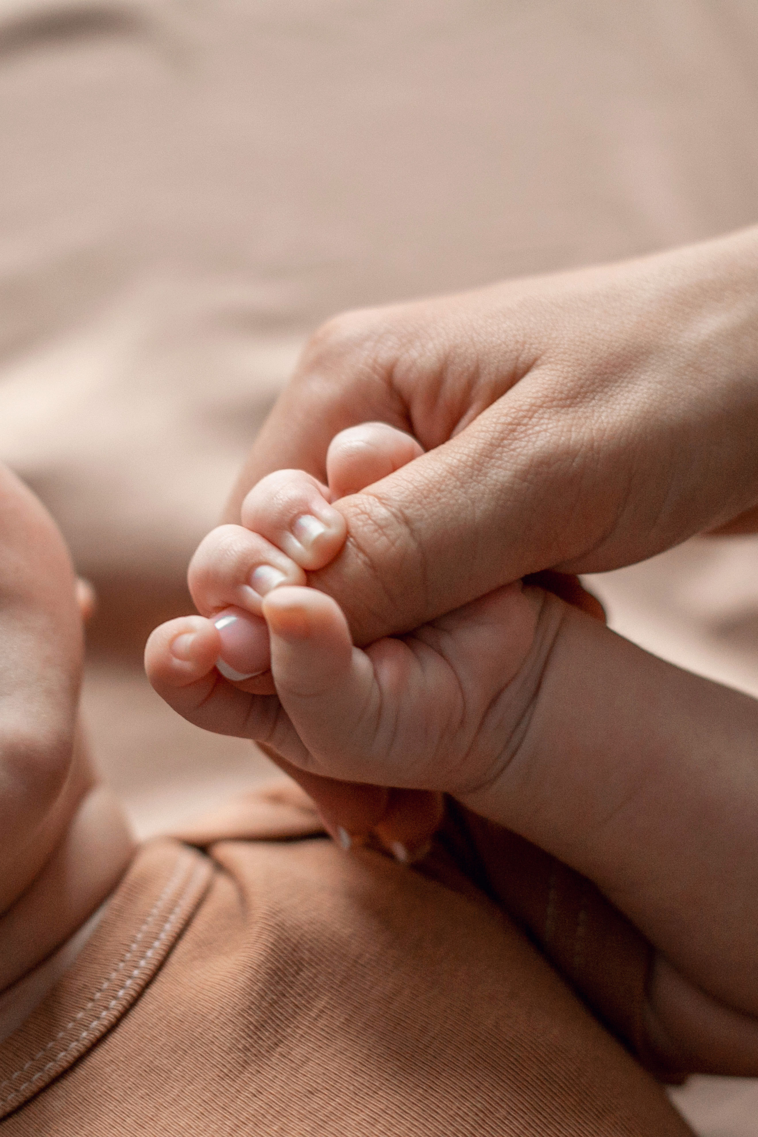 фотосессия дома, домашняя фотосессия, фотосессия с детьми, фотограф Ростов, семейный фотограф Ростов, семейный фотограф в Ростове, фотосессия Ростов, фотосессия в Ростове, фотосессия Ростов-на-Дону, фотограф Ростов-на-Дону, новогодняя фотосессия в Ростове, новогодняя фотосессия, новогодняя съемка, новогодняя фотосессия в студии, новогодняя фотосессия в студии в Ростове, новогодняя фотосессия в студии Ростов-на-Дону