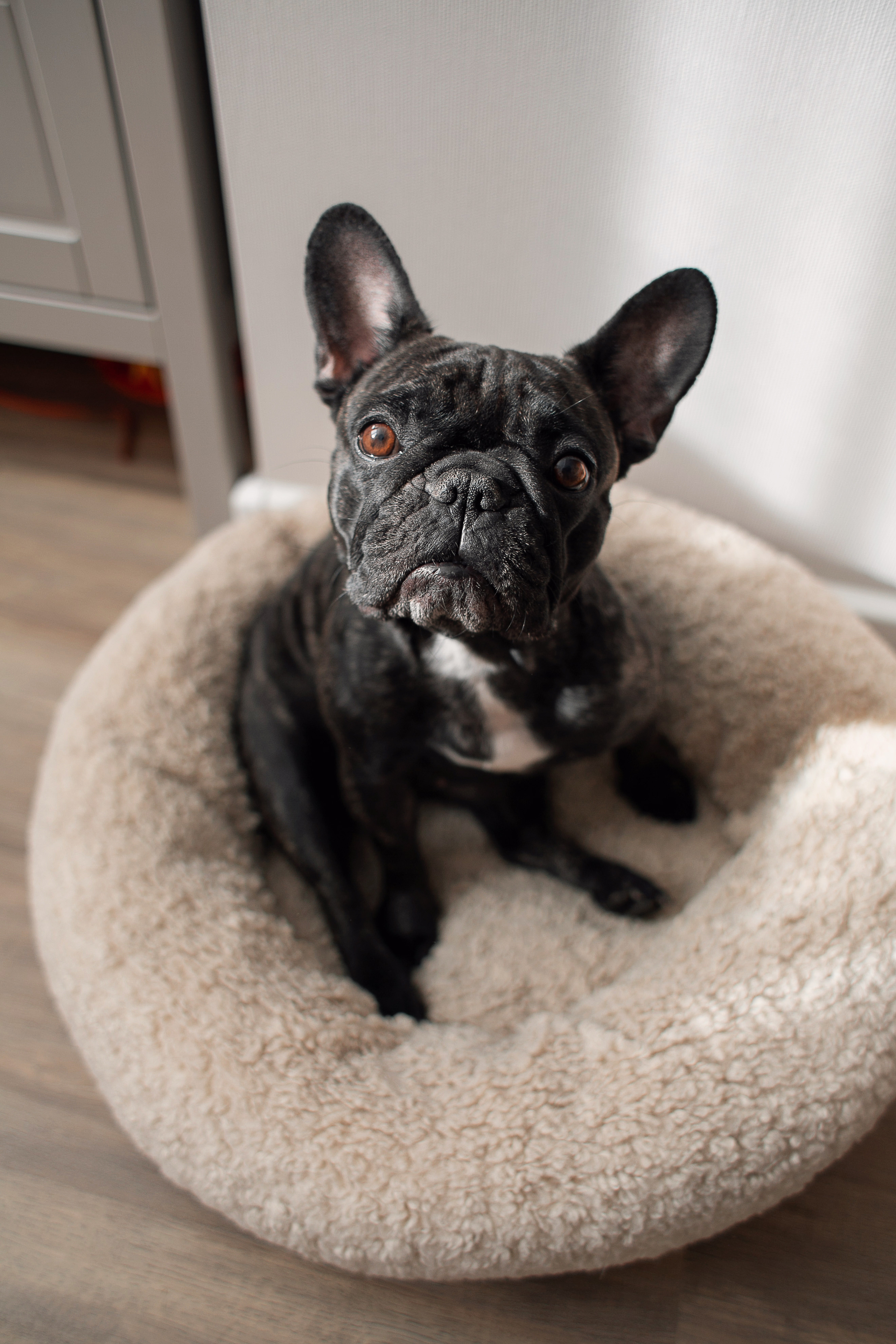 Мама рядом. Семейный и детский фотограф в Ростове-на-Дону Мария Курутина