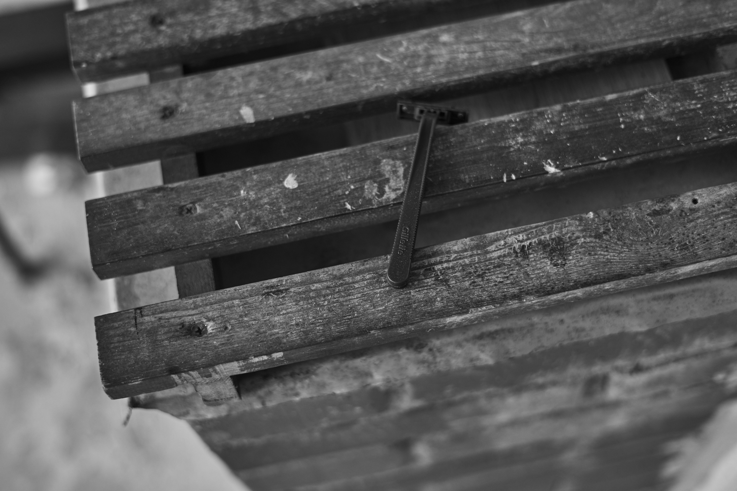 Book. M a s h a T k a c h e n k o