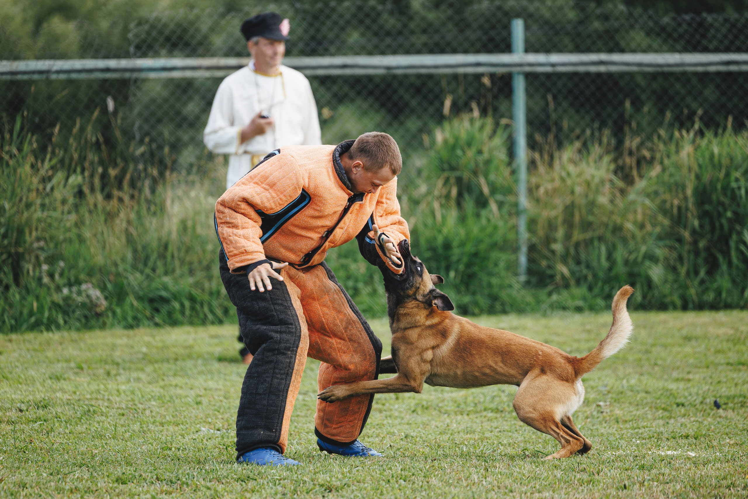 08.08.25-10.08.25 ЧР по мондьорингу г. Вологда. Фотограф-анималист Анна Маринич