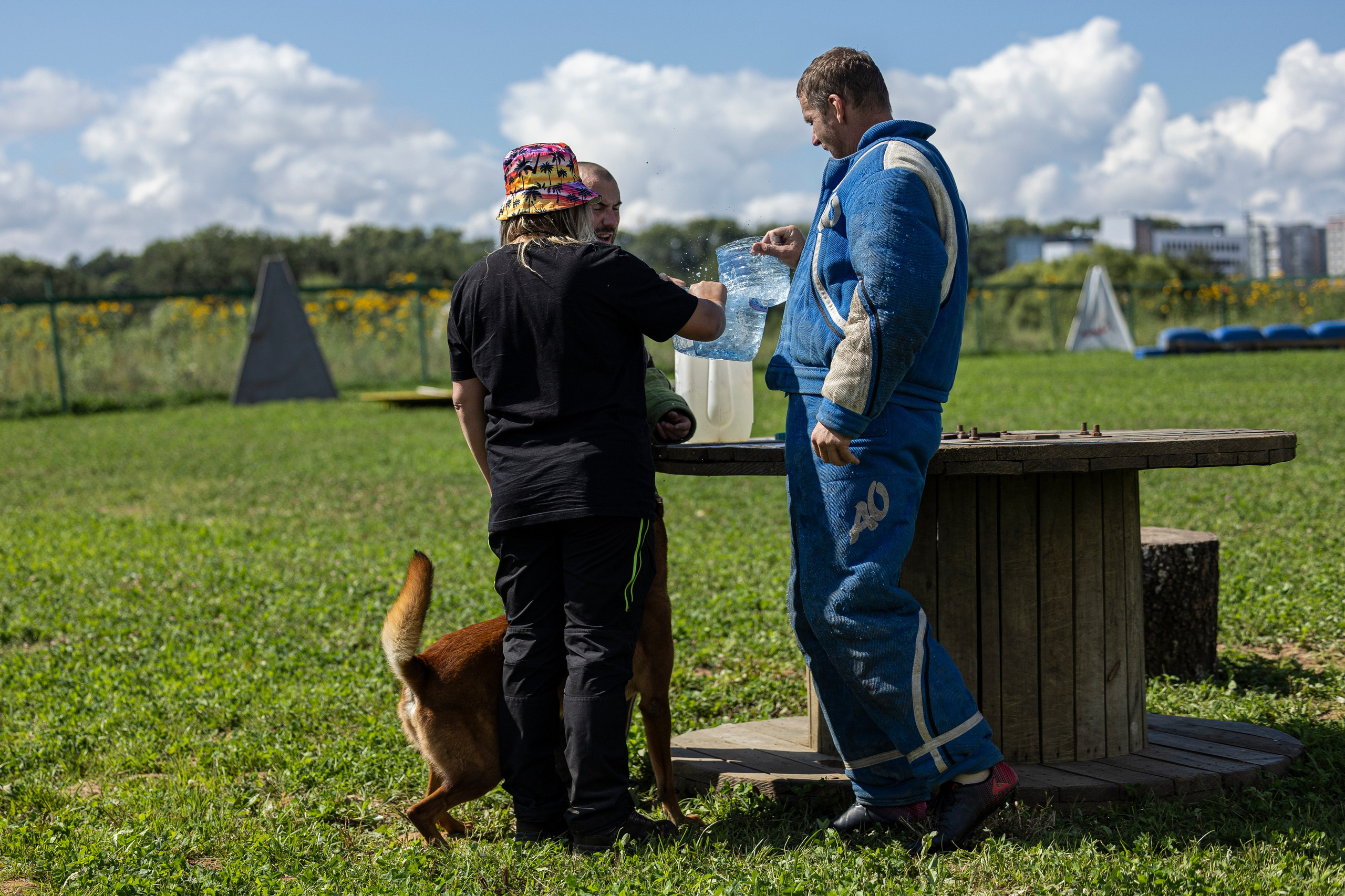 Соревнования по Мондьорингу г. Вологда 10-11.08.2024. Фотограф-анималист Анна Маринич