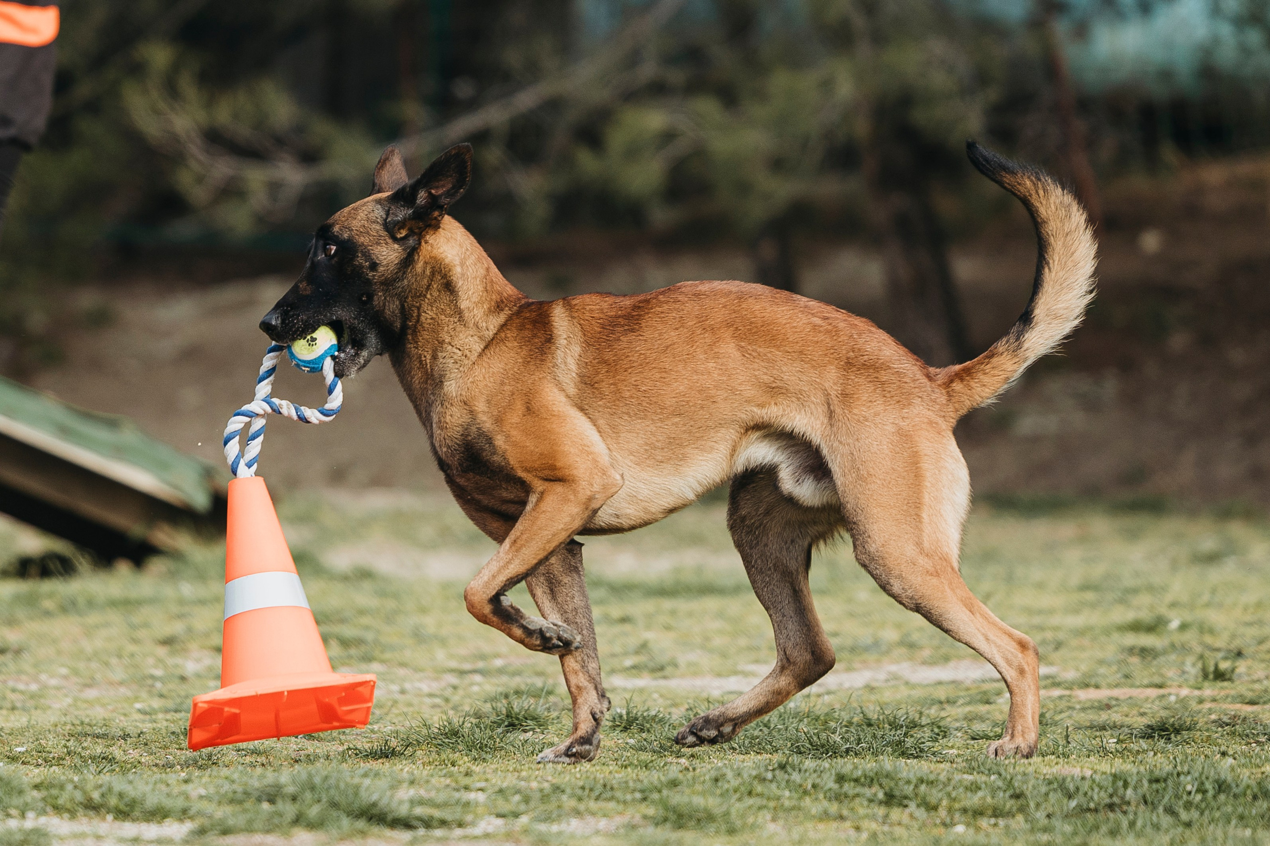 Геленджик Мондьоринг. Фотограф-анималист Анна Маринич