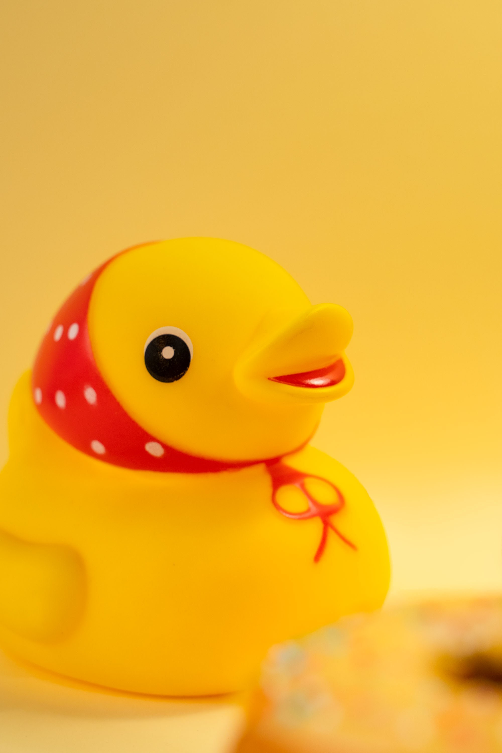 Yellow world. Фотограф в Москве Маленкова Дарья