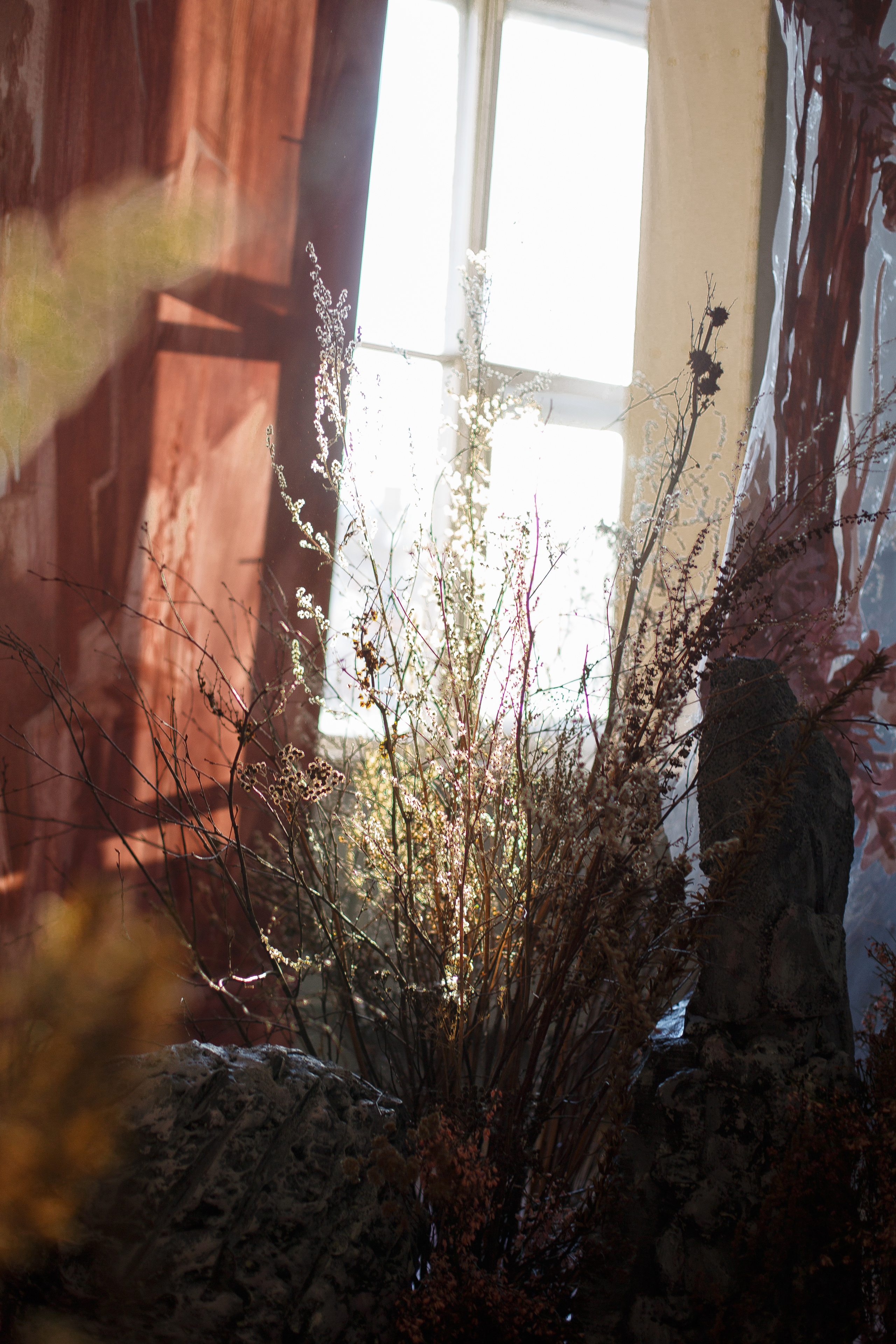 Лебединое озеро. Одетта и Одиллия. Фотограф Анна Котова