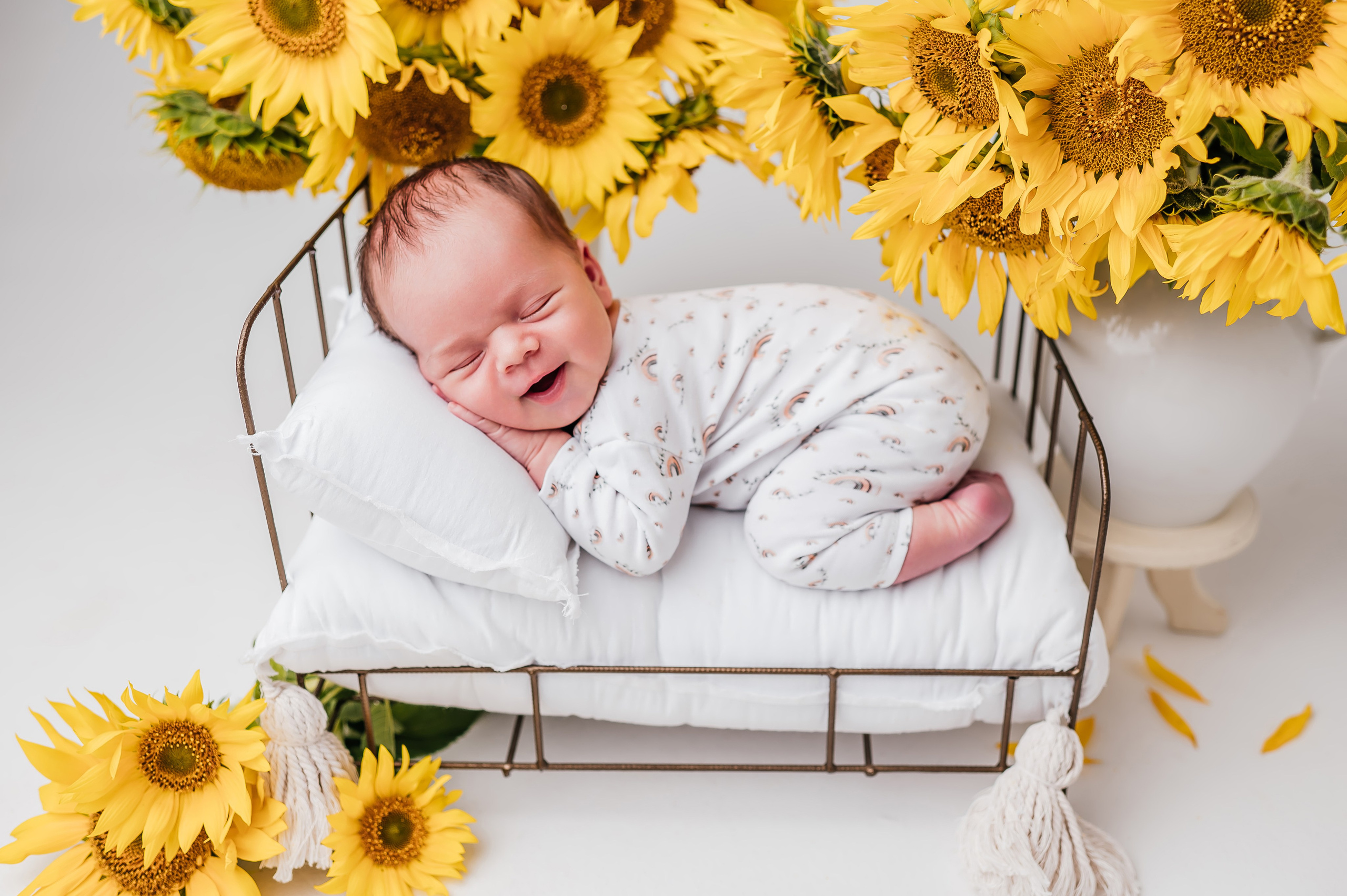 Фотографии новорожденных. Петрова Евгения фотограф новорожденных в Барнауле. Евгения Петрова — семейный и детский фотограф, фотограф новорожденных в Барнауле