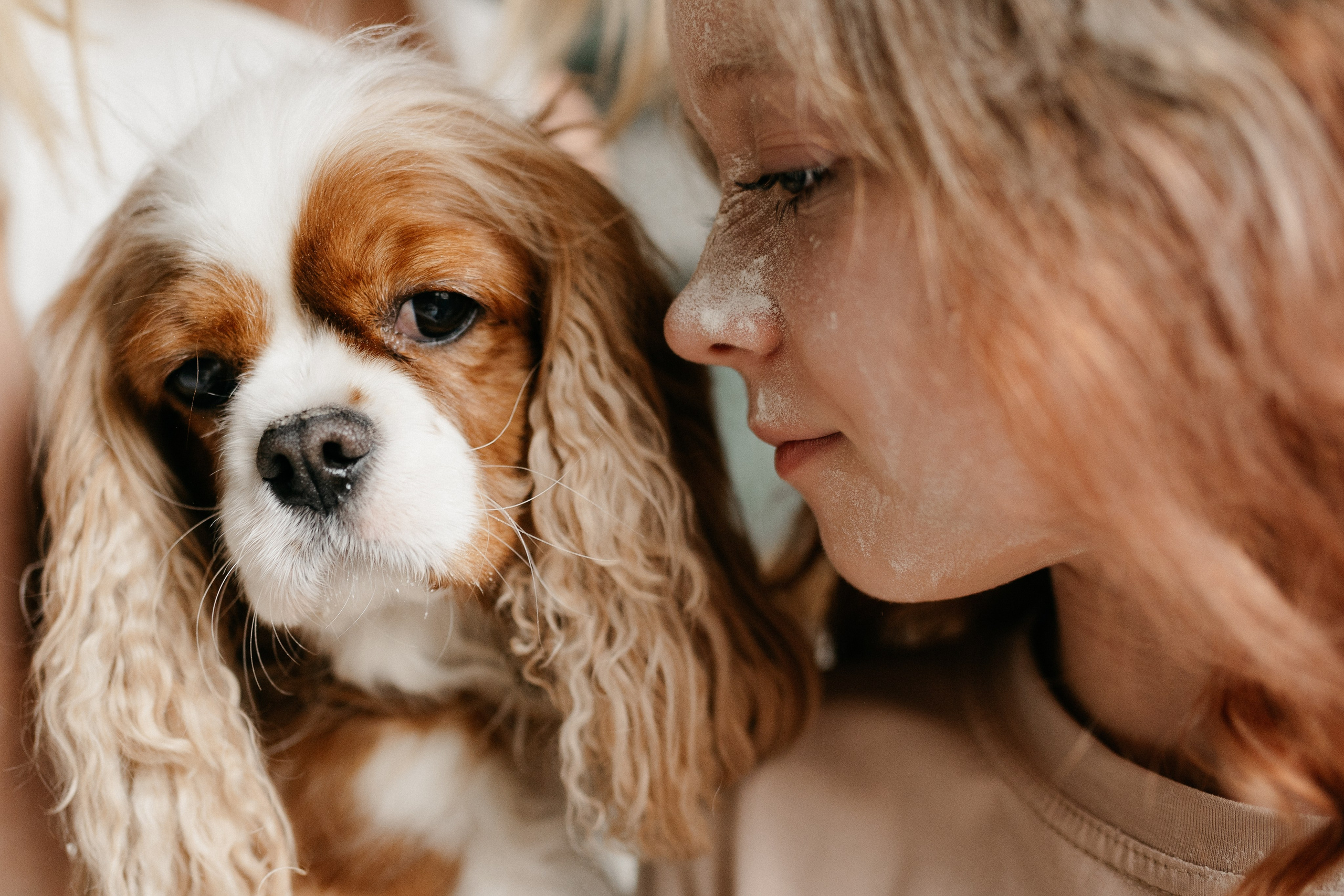 Даша, Диана, Дебби и маленькая крыска. Фотограф анималист в Москве Ольга Агушева