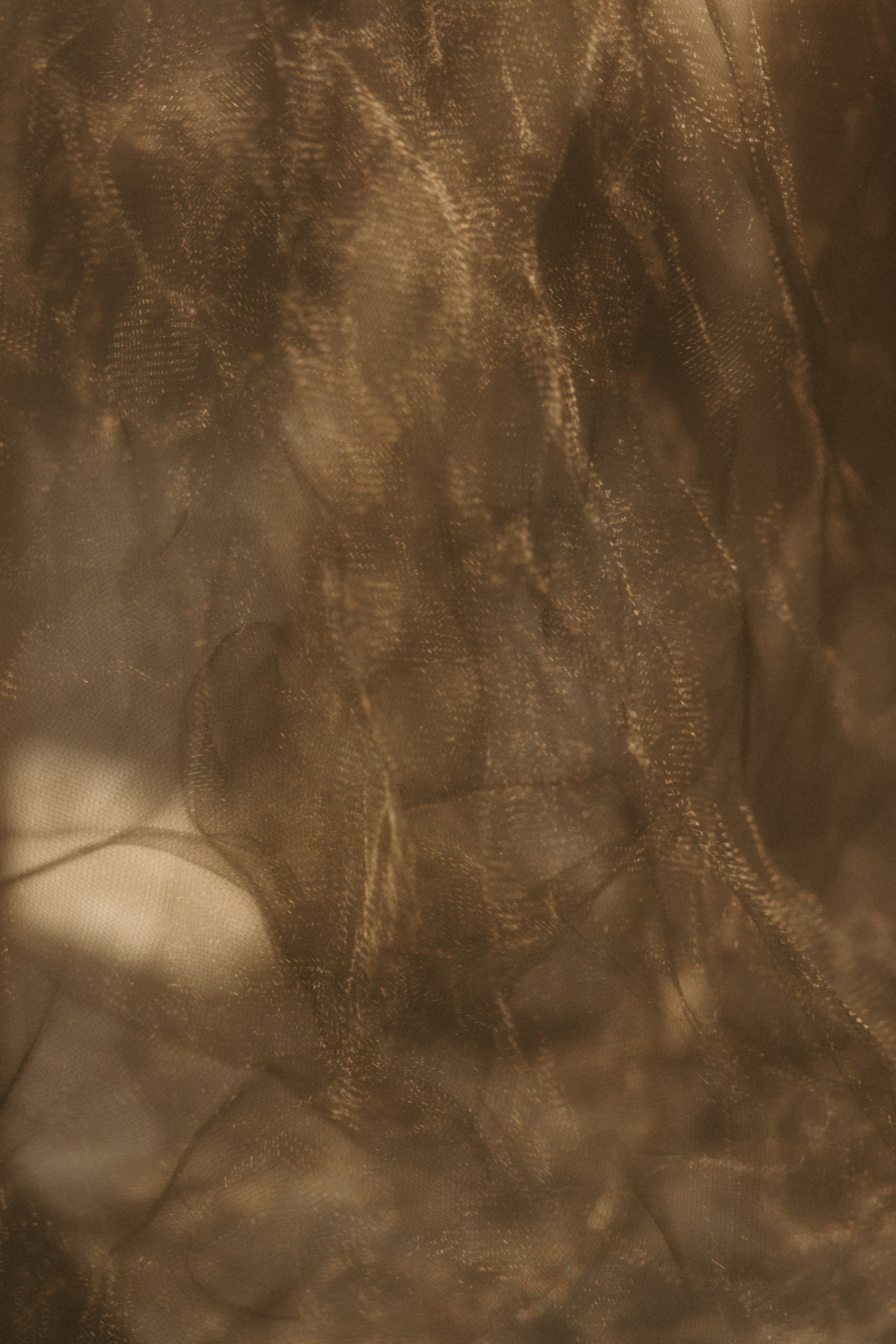 Любовь в кадре. Свадебный фотограф в Москве Николай Болт