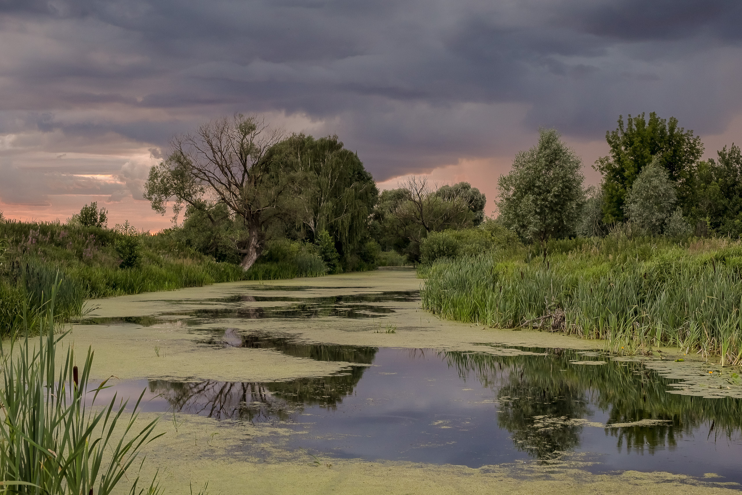 Летний закат на реке перед грозой