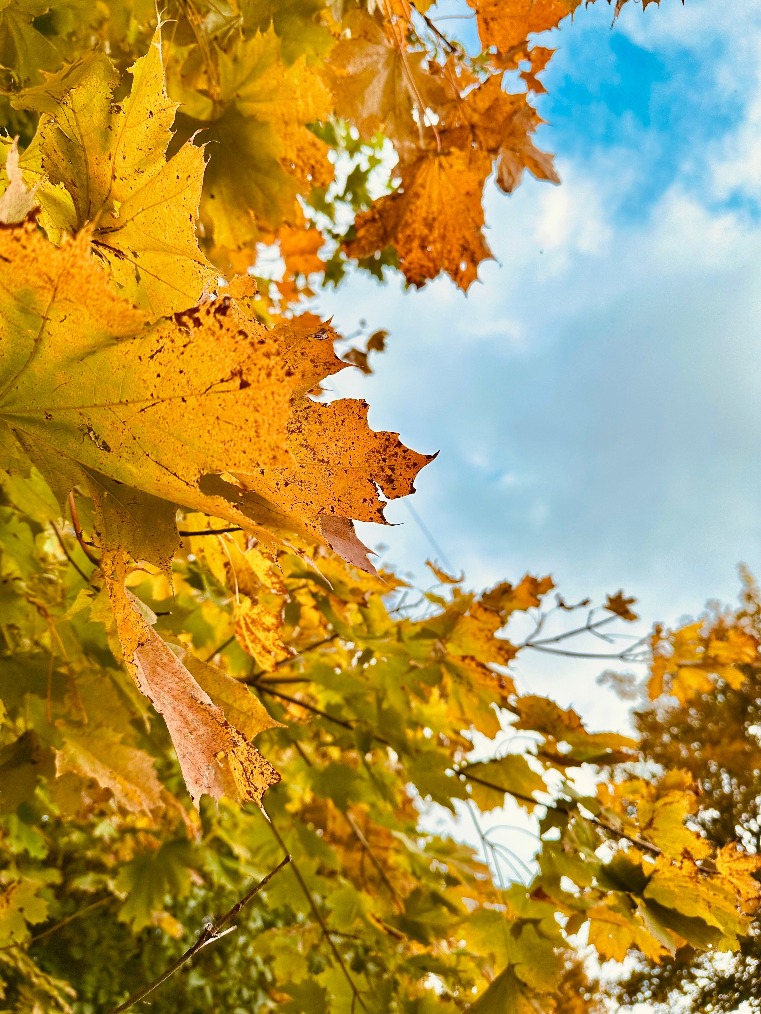 Пейзаж. Фотограф Люся Воробьева