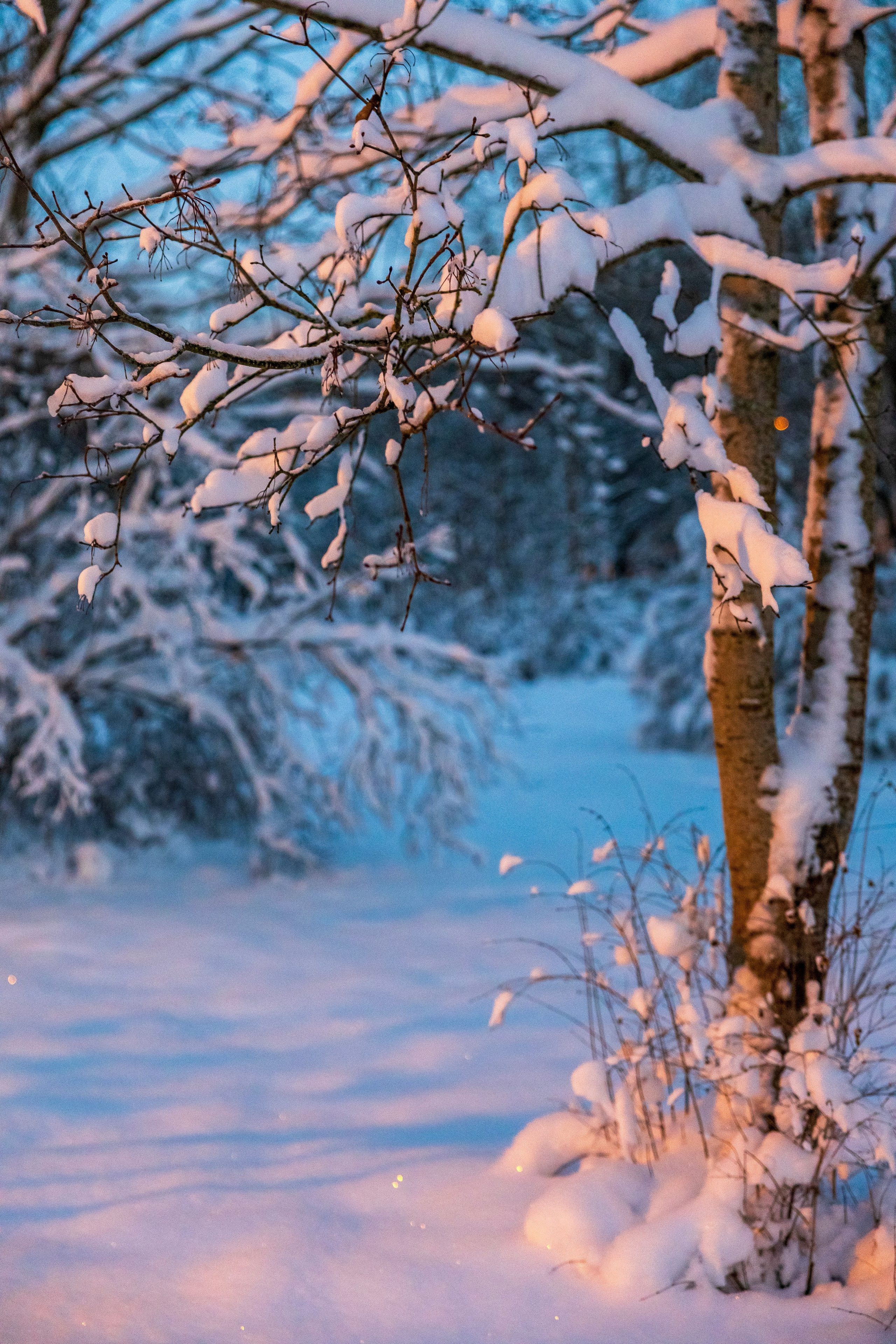 Пейзаж. Фотограф Люся Воробьева