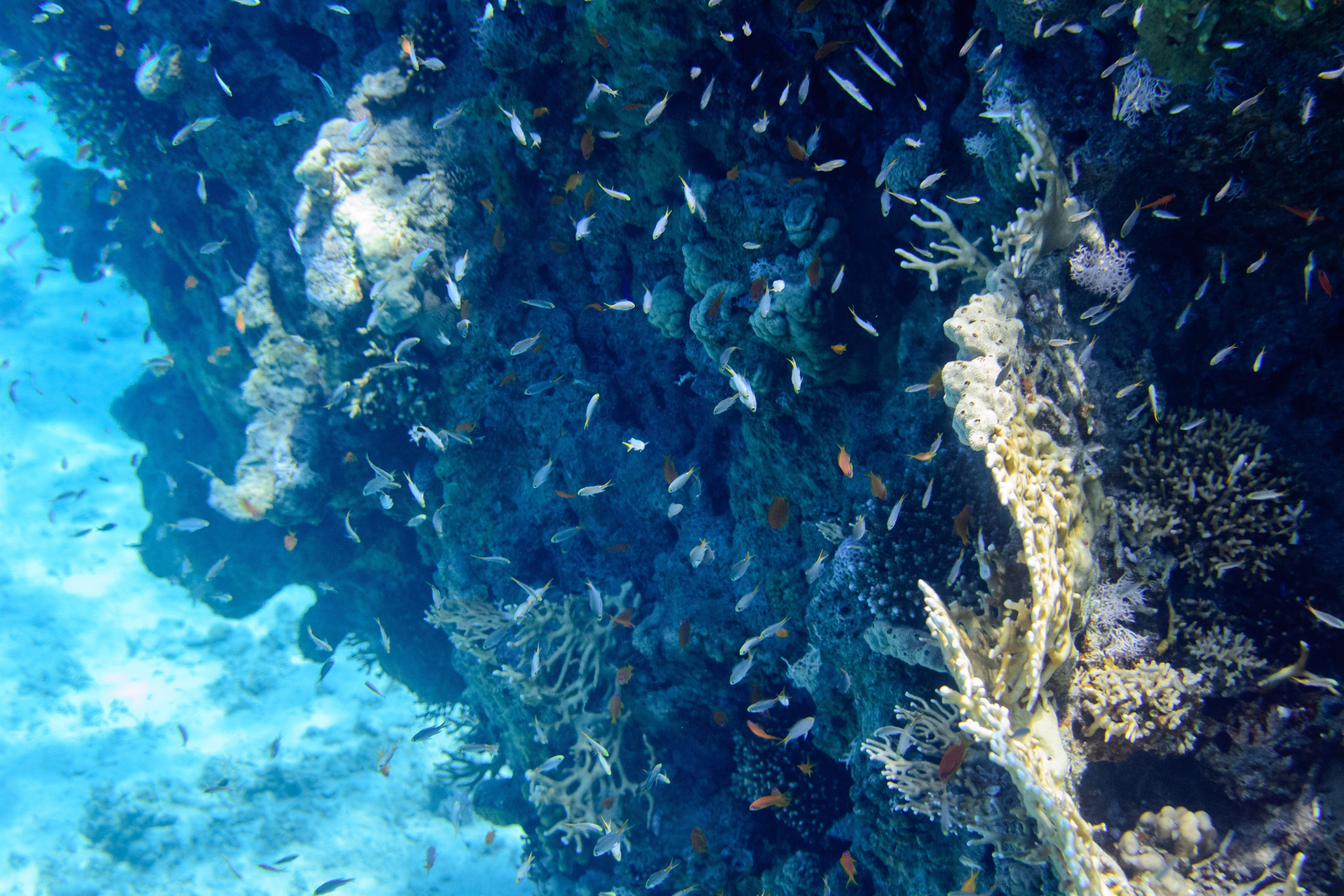 Море. Фотограф в Санкт-Петербурге Ибрагимова Алина
