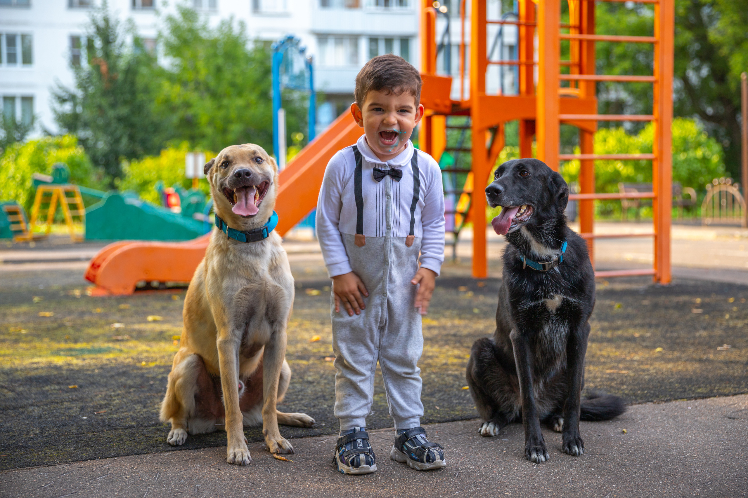 Детский день рождения. Тархановский Павел Фото/Видео съёмка