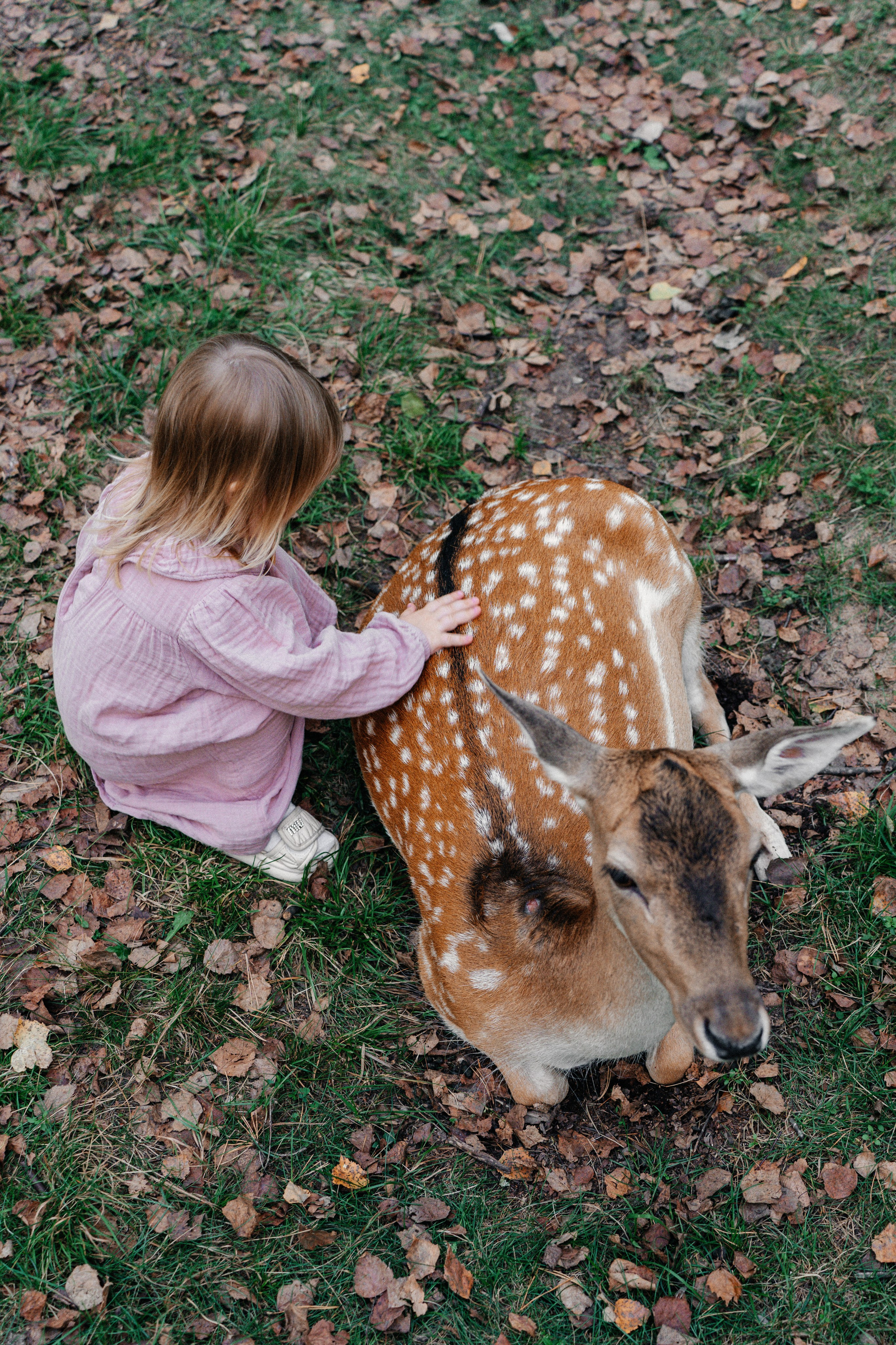 Диприз — в мире диких животных. Ваш семейный фотограф в Минске — Вика Трегубова