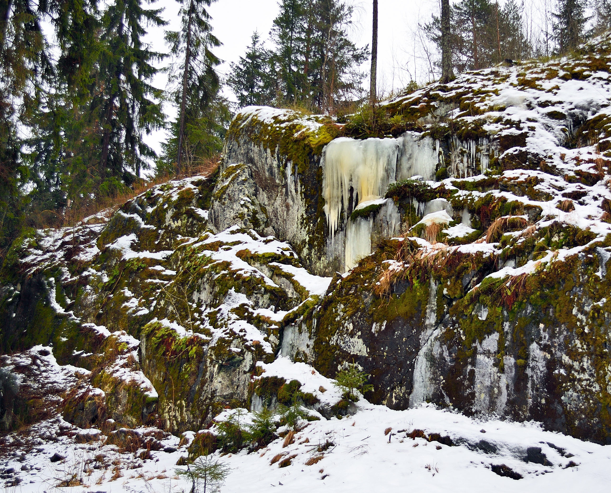 Зима. Пейзажный и предметный фотограф в Санкт-Петербурге Александр Богданов