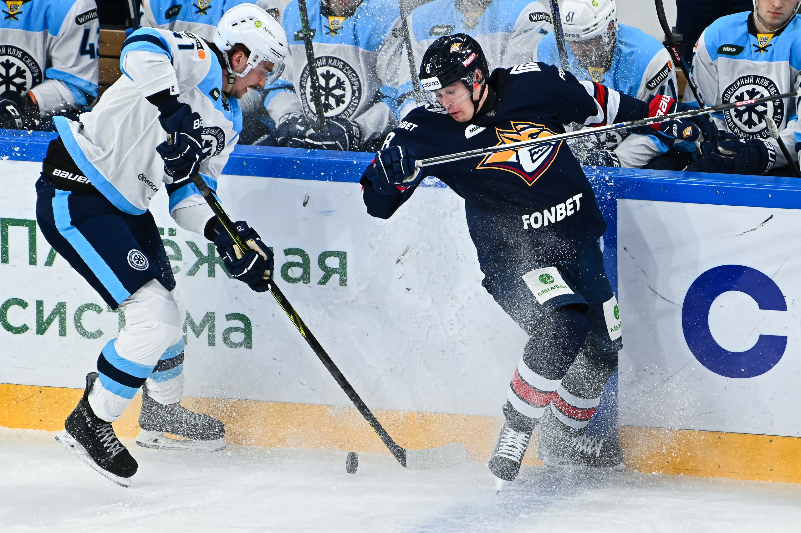 Металлург-Сибирь 20.11.2023. Спортивный и репортажный фотограф в Магнитогорске