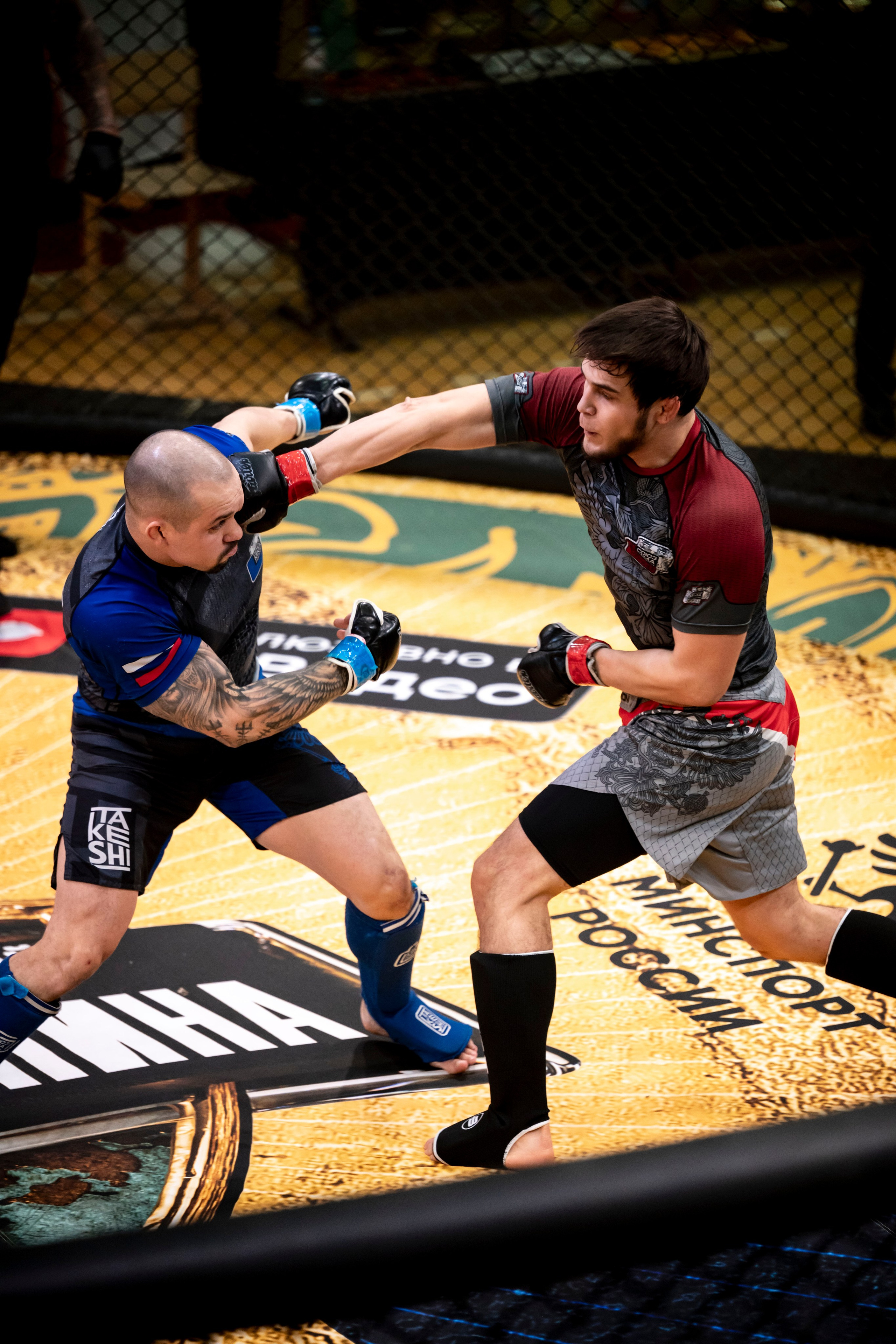 Всероссийский турнир ММА. Новомосковск, ноябрь 2025. Спортивный фотограф в Туле и Тульской области. Файсханова Фото Спорт