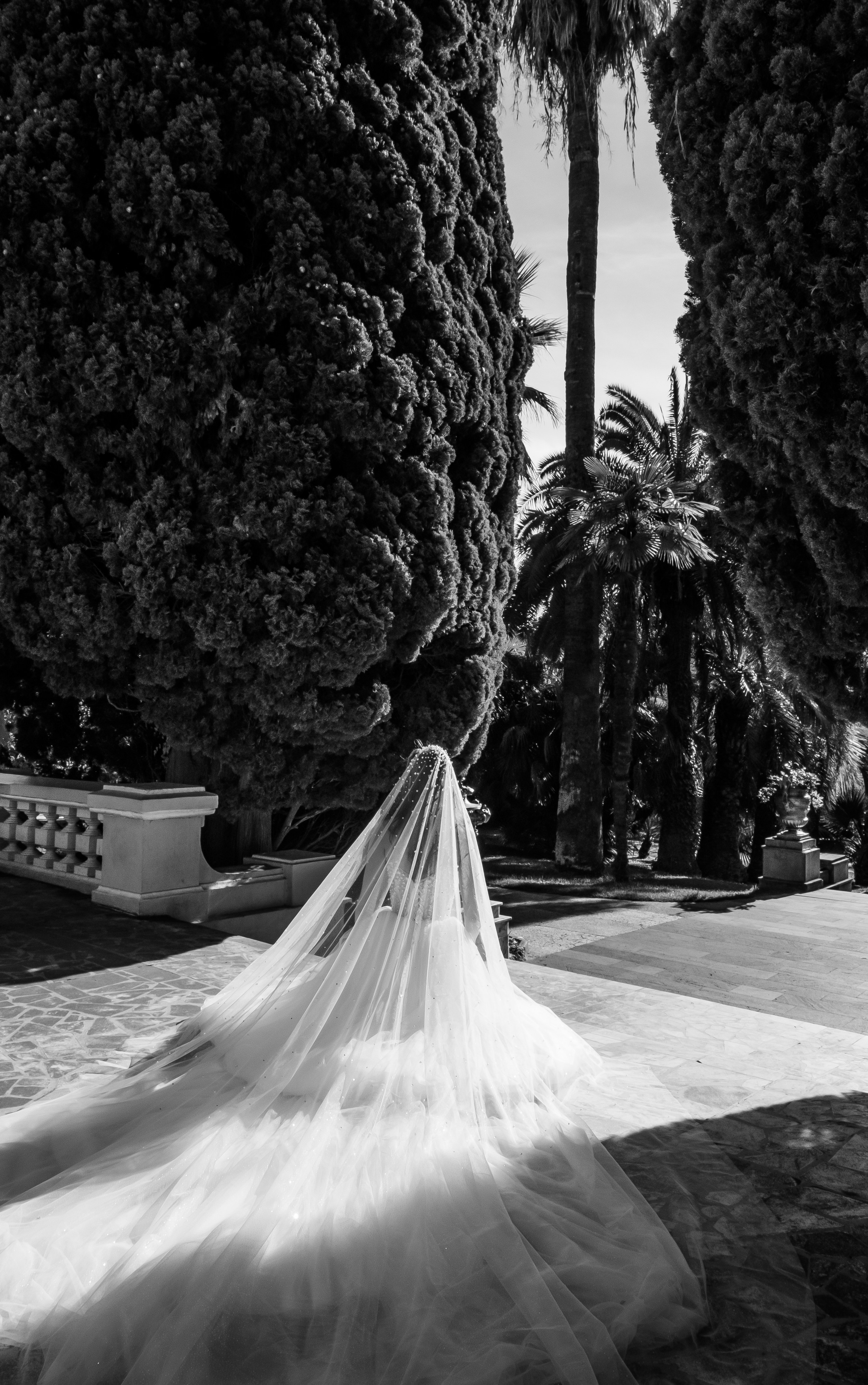 Сергей & Диана