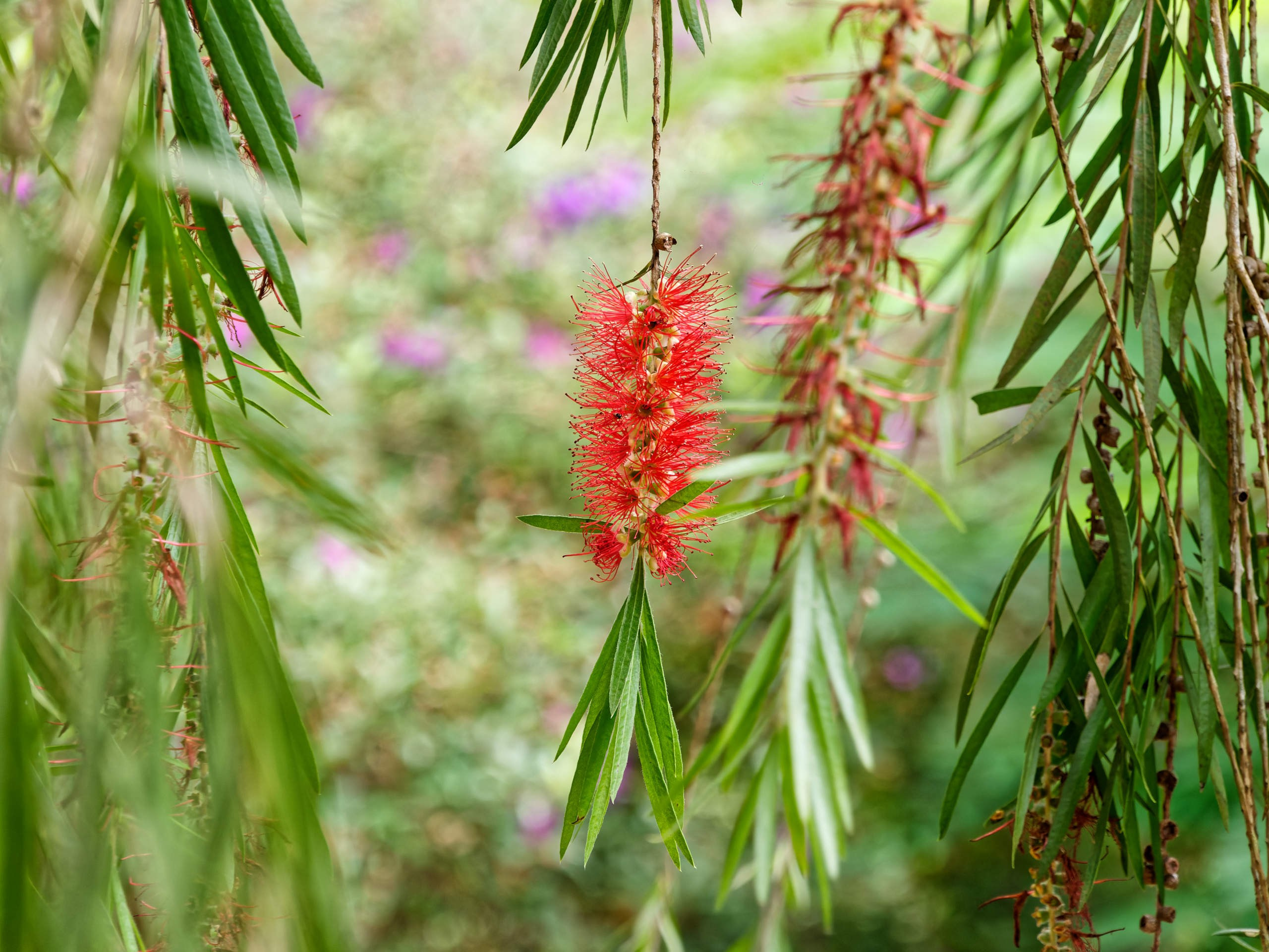 Далат 2023. Избранные фотографии