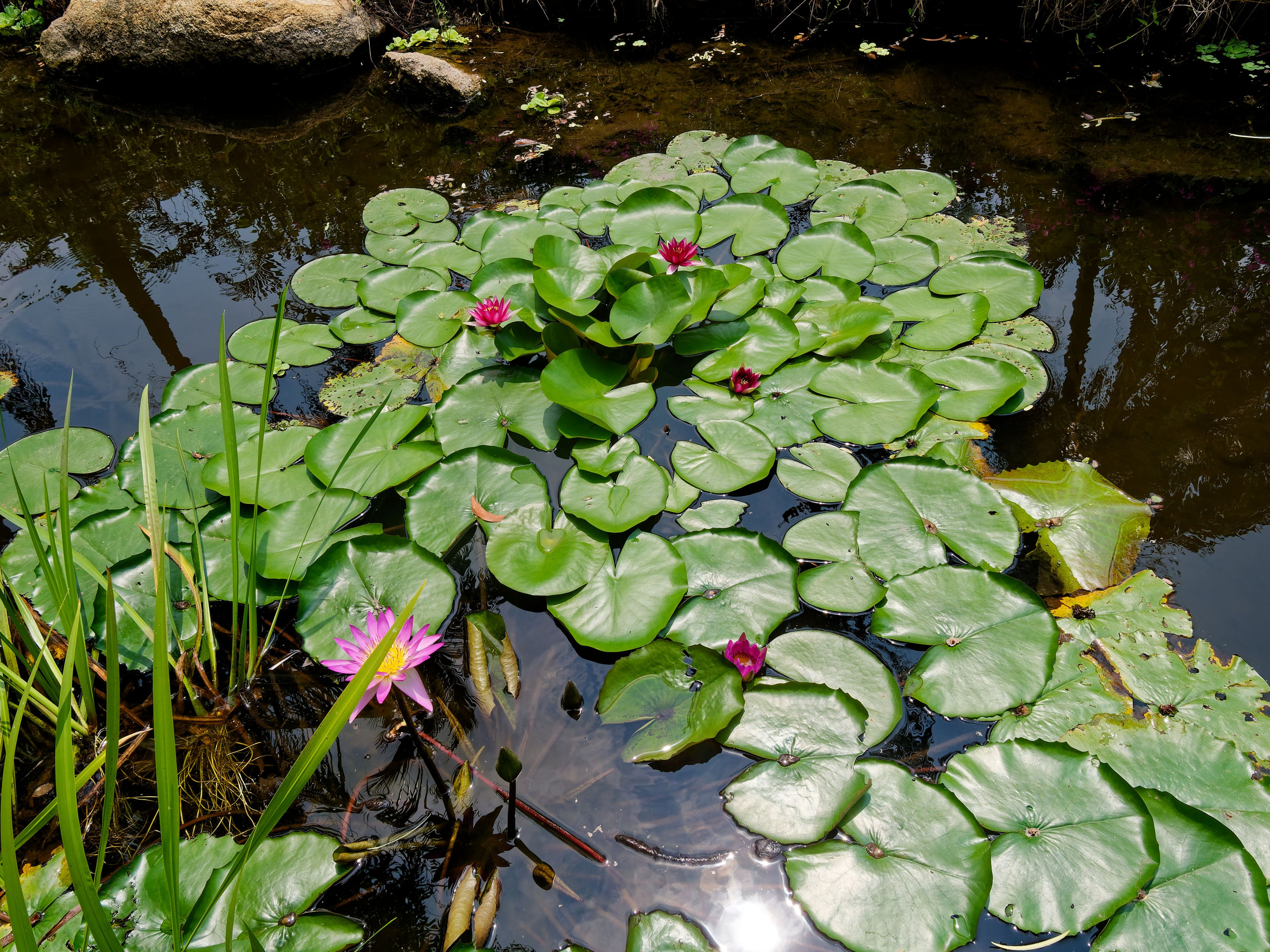 Хайнань 2026, отель «Stony Brook Villa Jianguo Resort Sanya 4*». Фотопрогулки по Миру